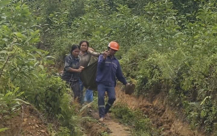 Khai thác keo dưới đường dây điện cao thế, 2 người nhập viện cấp cứu- Ảnh 1.