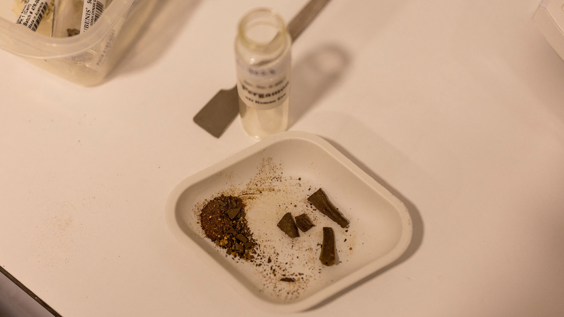 Bằng chứng cho thấy phân người được dùng trong y học La Mã cổ đại - Ảnh 1.