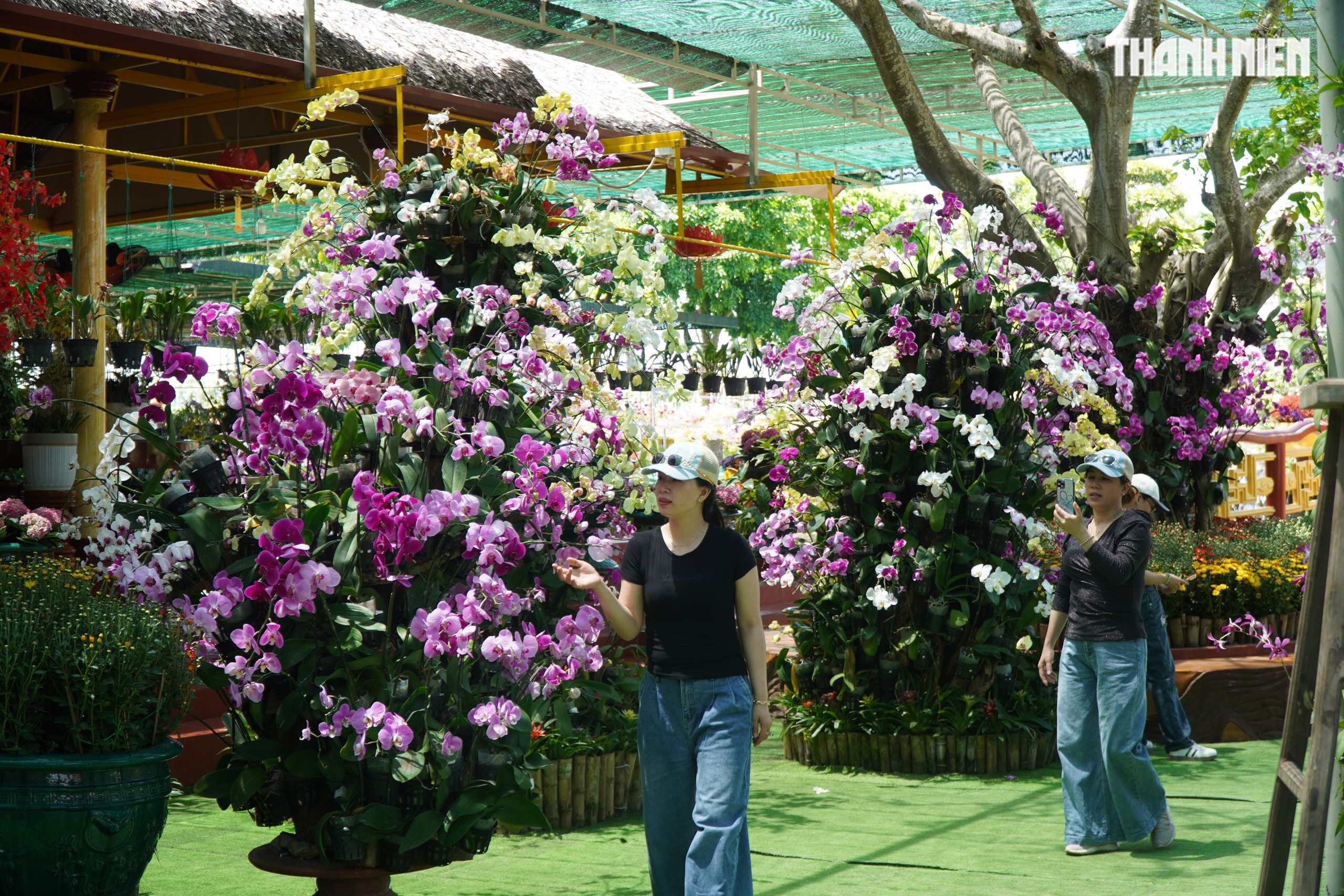 Ngôi chùa miền Tây có tượng Quan Âm cao 71 m, đẹp như chốn tiên cảnh - Ảnh 14. Ngôi chùa miền Tây có tượng Quan Âm cao 71 m, đẹp như chốn tiên cảnh - Ảnh 14.