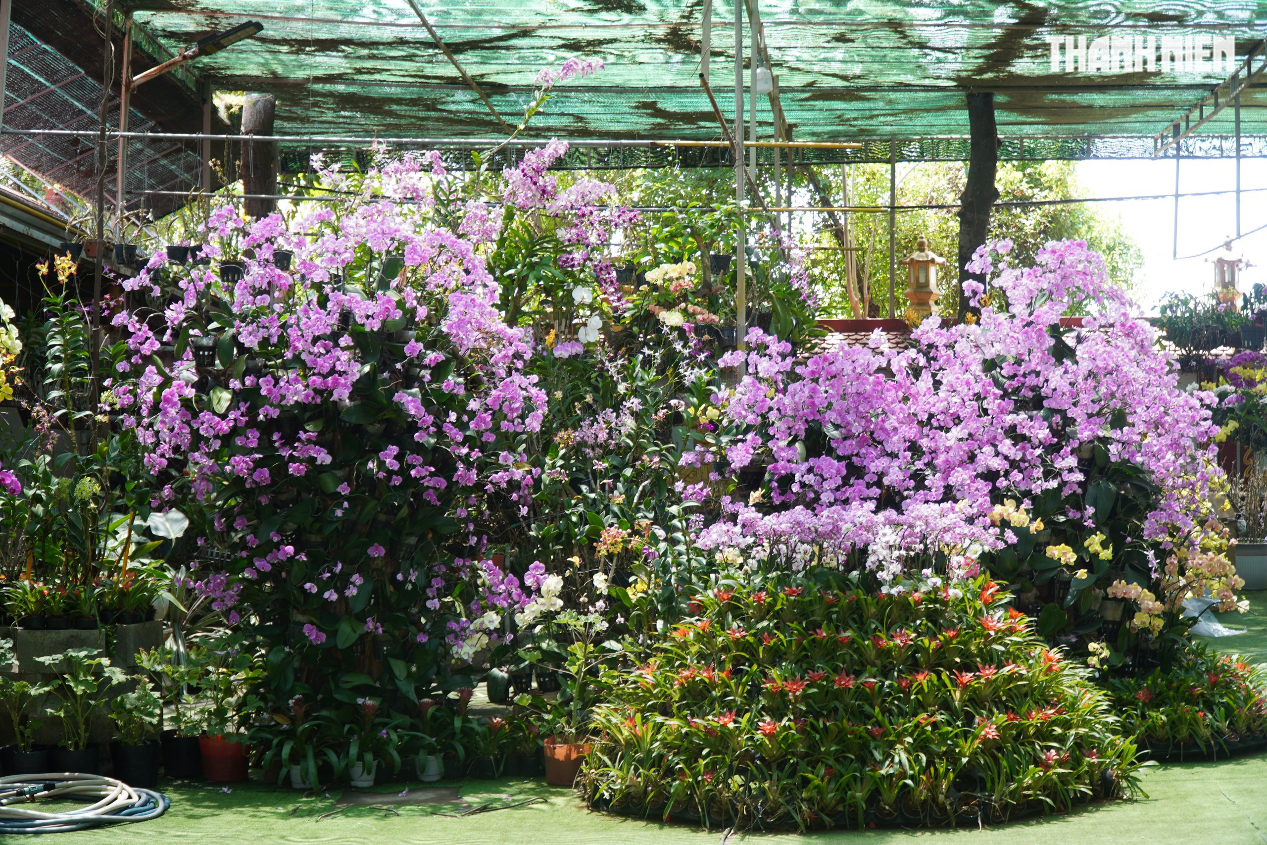 Ngôi chùa miền Tây có tượng Quan Âm cao 71 m, đẹp như chốn tiên cảnh - Ảnh 11. Ngôi chùa miền Tây có tượng Quan Âm cao 71 m, đẹp như chốn tiên cảnh - Ảnh 11.