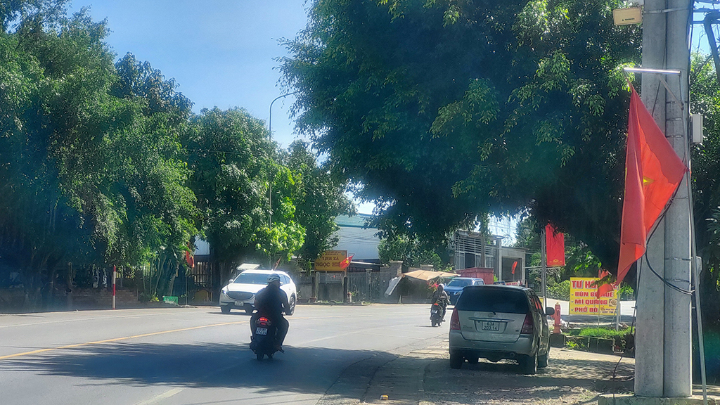 Tàn cây sà ra đường trên QL20 gây khó khăn cho giao thông