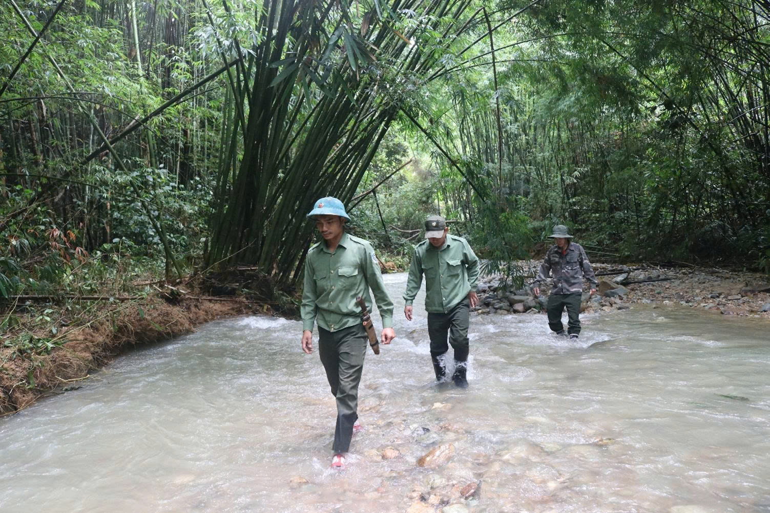 Báu vật Chư Mom Ray: Phục hồi 'kho báu' rừng nguyên sinh- Ảnh 3. Báu vật Chư Mom Ray: Phục hồi 'kho báu' rừng nguyên sinh- Ảnh 3.