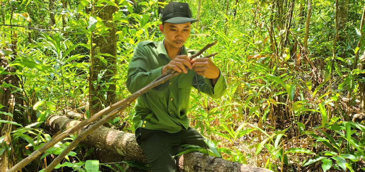 Báu vật Chư Mom Ray: Phục hồi 'kho báu' rừng nguyên sinh- Ảnh 5. Báu vật Chư Mom Ray: Phục hồi 'kho báu' rừng nguyên sinh- Ảnh 5.