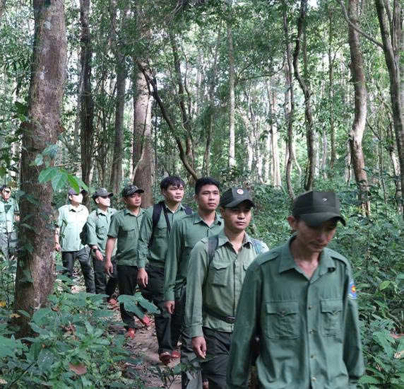 Báu vật Chư Mom Ray: Phục hồi 'kho báu' rừng nguyên sinh- Ảnh 7. Báu vật Chư Mom Ray: Phục hồi 'kho báu' rừng nguyên sinh- Ảnh 7.