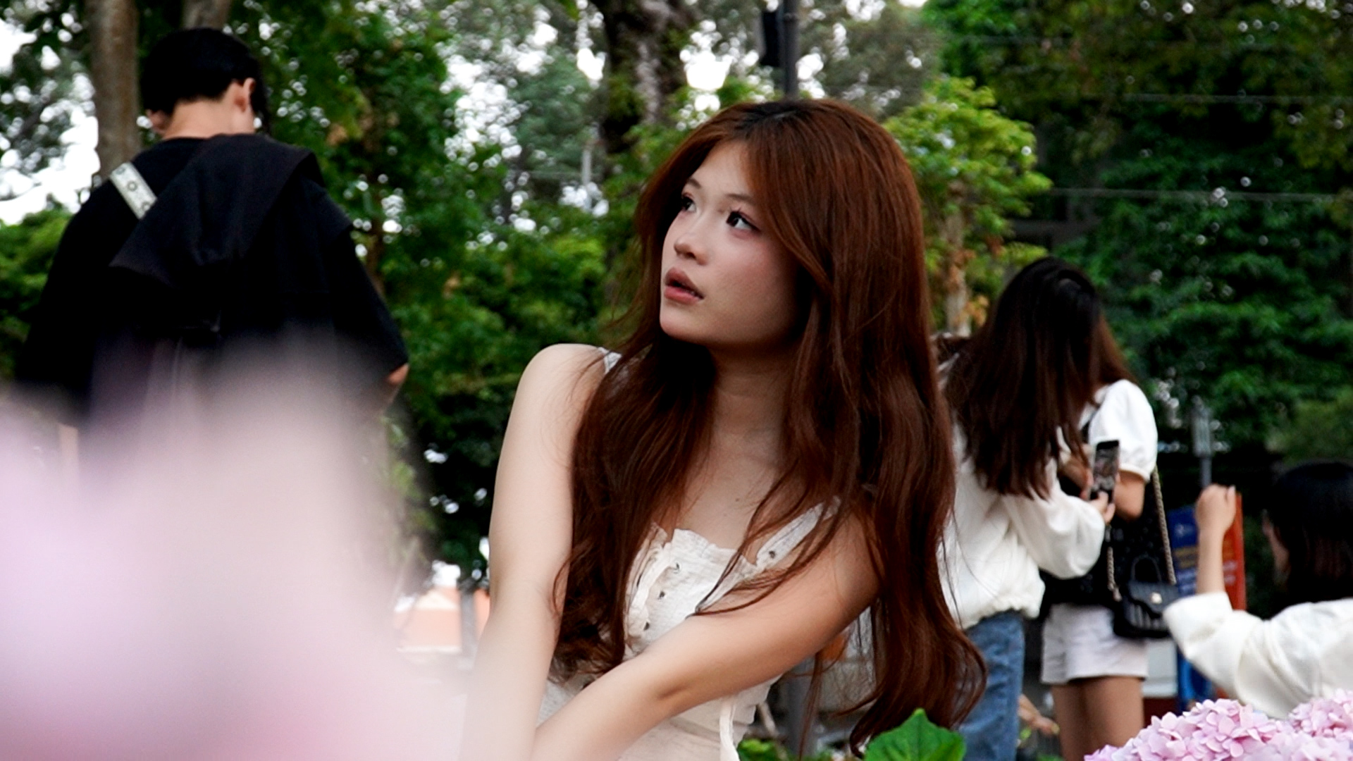 Vườn cẩm t&uacute; cầu g&acirc;y sốt ở trung t&acirc;m TP.HCM, check-in m&ecirc; như ở Đ&agrave; Lạt- Ảnh 2.