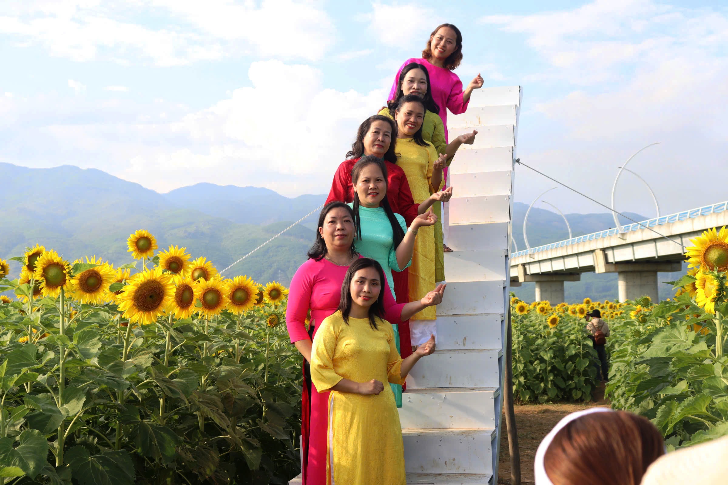 Cánh đồng hoa hướng dương rực vàng bên sông Vu Gia thu hút du khách check - in - Ảnh 7. Cánh đồng hoa hướng dương rực vàng bên sông Vu Gia thu hút du khách check - in - Ảnh 7.