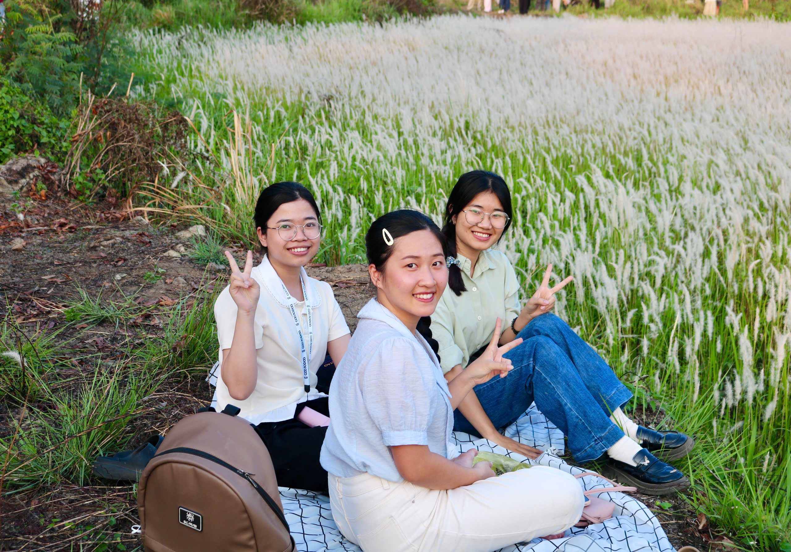 C&aacute;nh đồng cỏ lau nở trắng x&oacute;a khiến nhiều người m&ecirc; mẩn check-in- Ảnh 9.