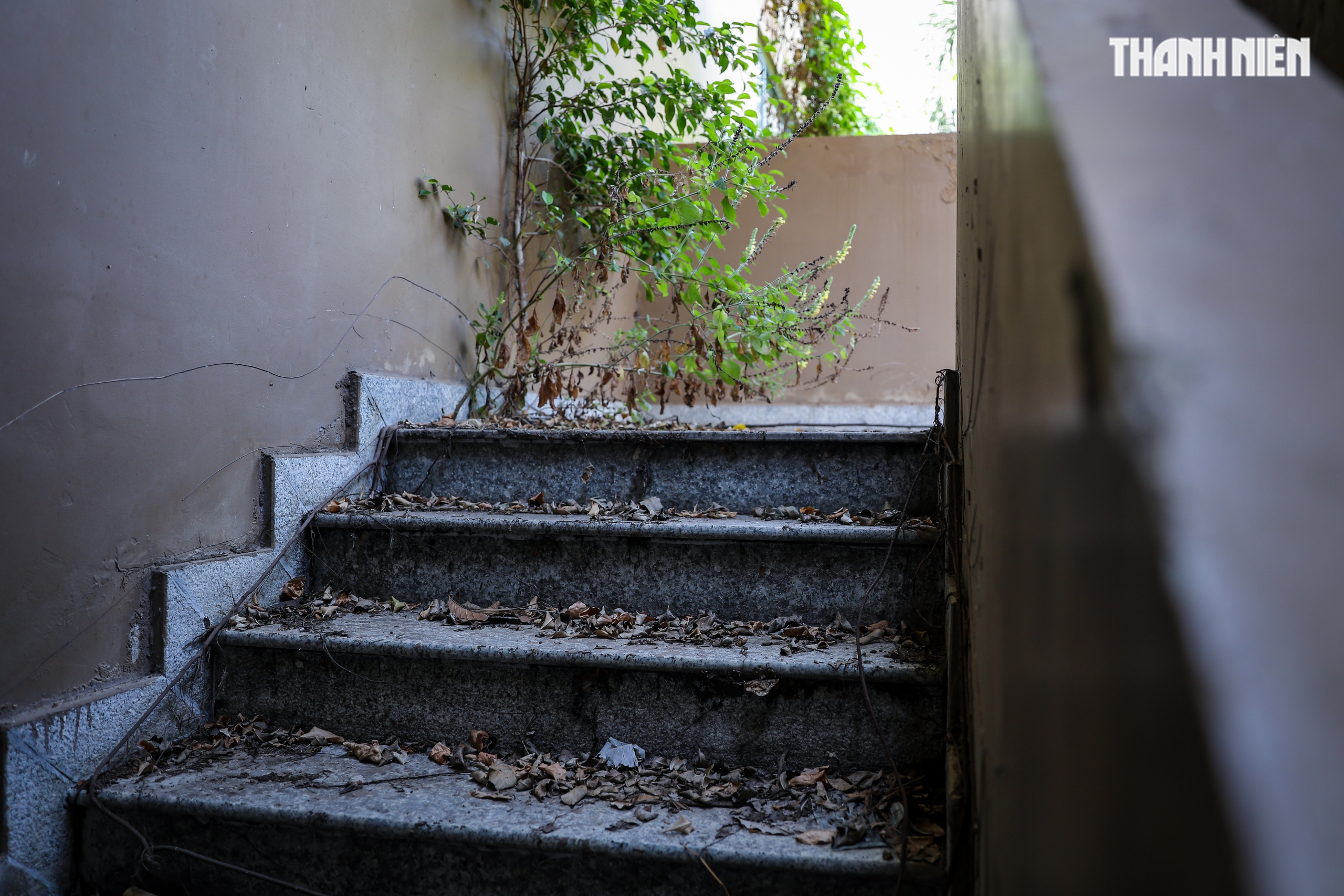 Cận cảnh khu căn hộ ngh&igrave;n tỉ xuống cấp ở Thủ Thi&ecirc;m trước thềm đấu gi&aacute; - Ảnh 6.