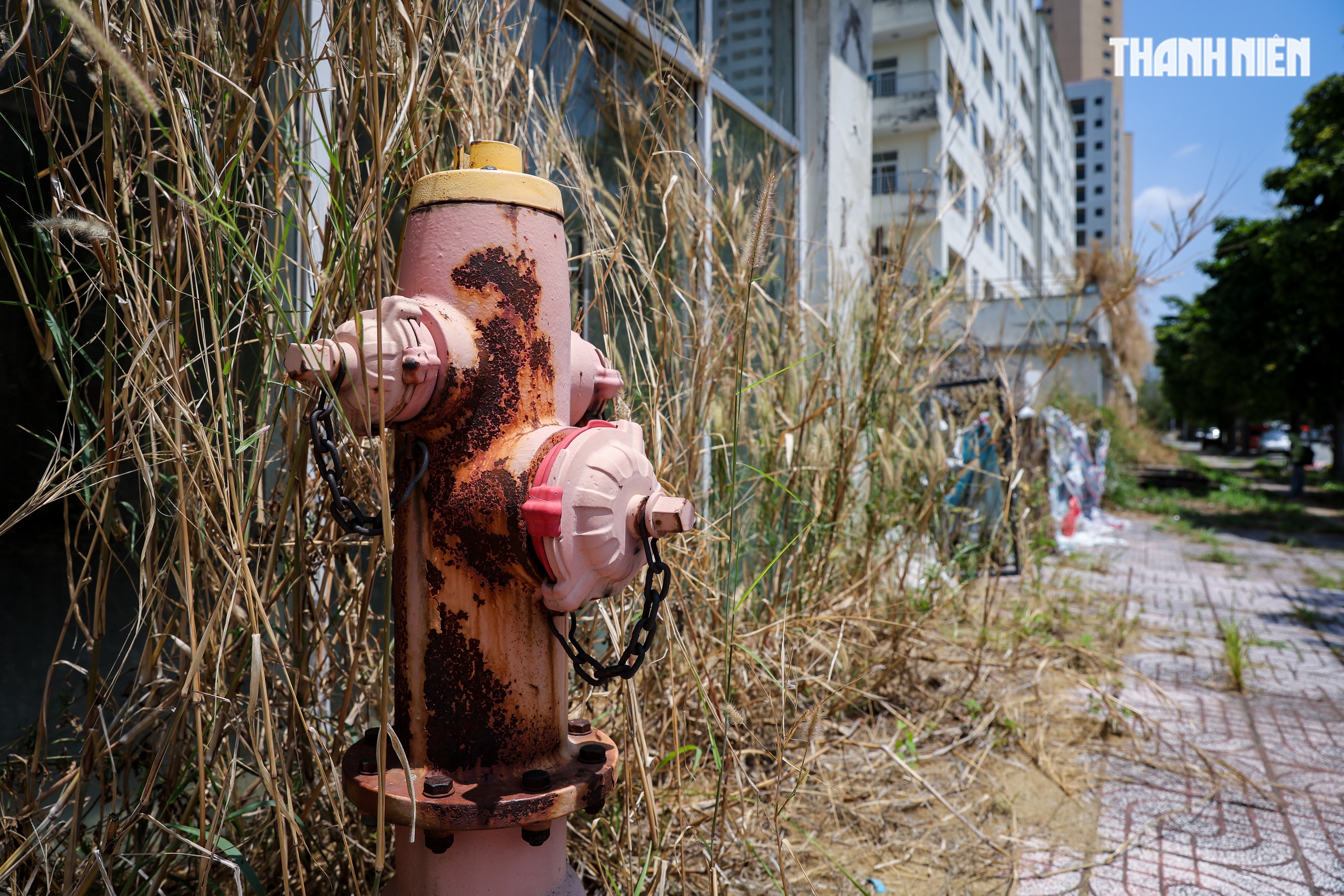 Cận cảnh khu căn hộ ngh&igrave;n tỉ xuống cấp ở Thủ Thi&ecirc;m trước thềm đấu gi&aacute; - Ảnh 7.