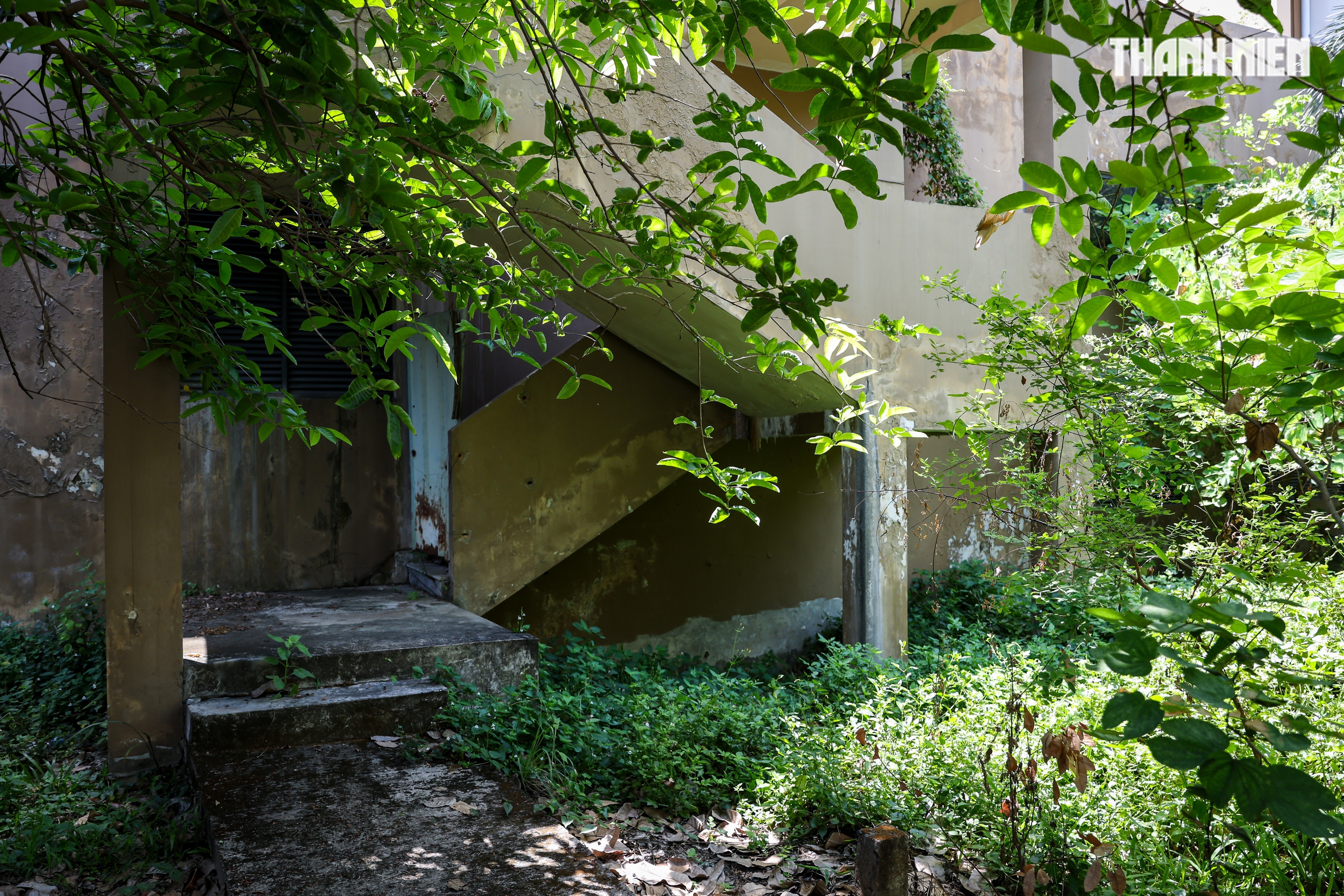 Cận cảnh khu căn hộ ngh&igrave;n tỉ xuống cấp ở Thủ Thi&ecirc;m trước thềm đấu gi&aacute; - Ảnh 12.