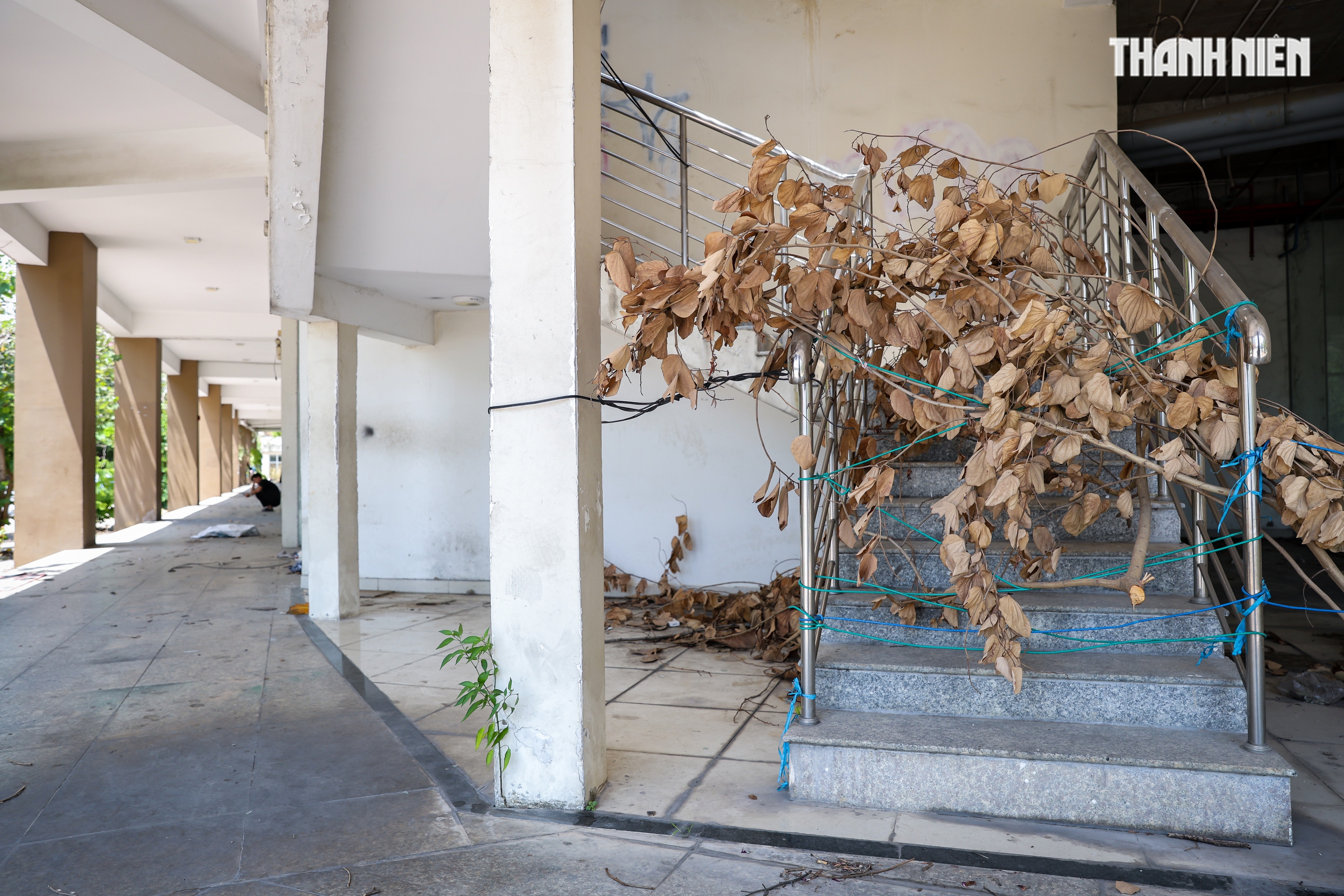 Cận cảnh khu căn hộ ngh&igrave;n tỉ xuống cấp ở Thủ Thi&ecirc;m trước thềm đấu gi&aacute; - Ảnh 3.