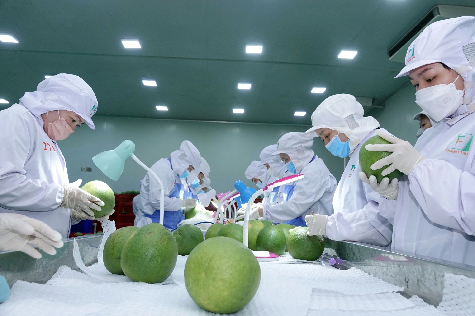 Thiết kế g&oacute;i hỗ trợ doanh nghiệp 'vượt b&atilde;o' xăng dầu- Ảnh 3.