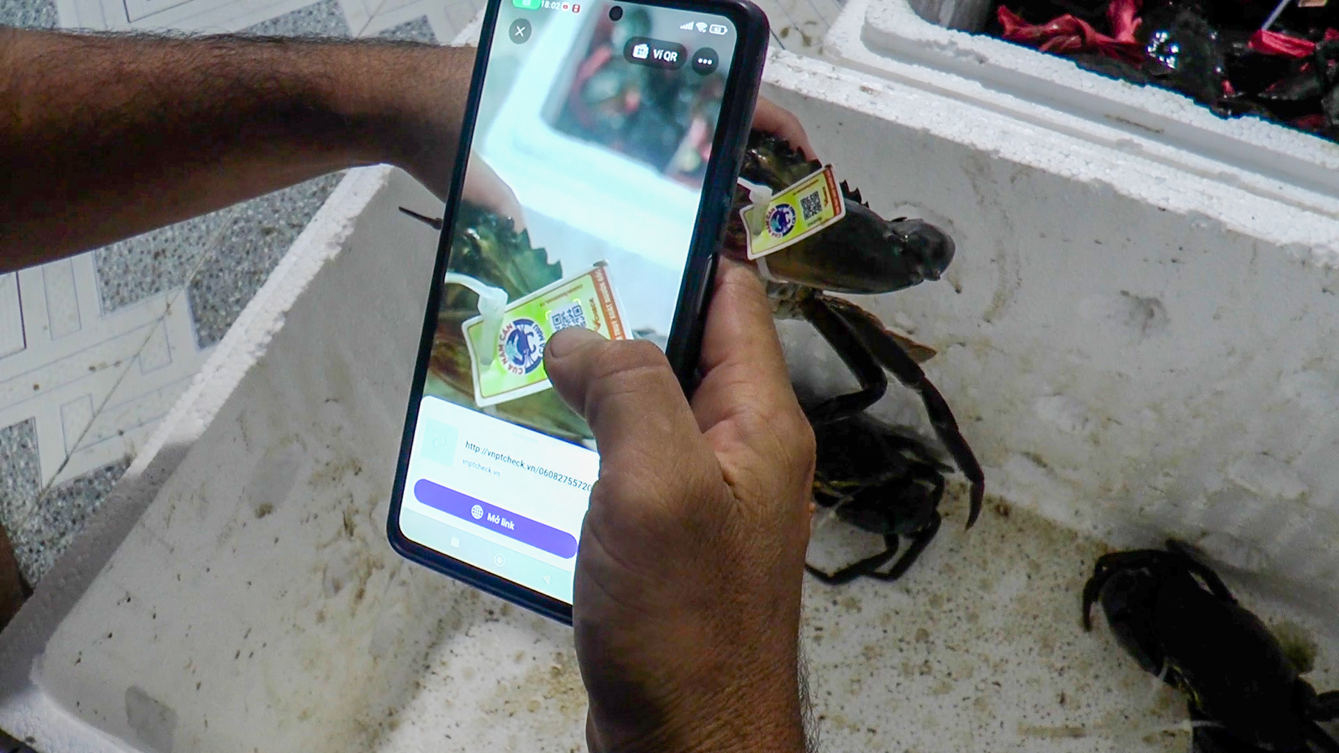 Khi cua Năm Căn có 'lý lịch': Mã QR giúp giữ lại giá trị thật - Ảnh 3.