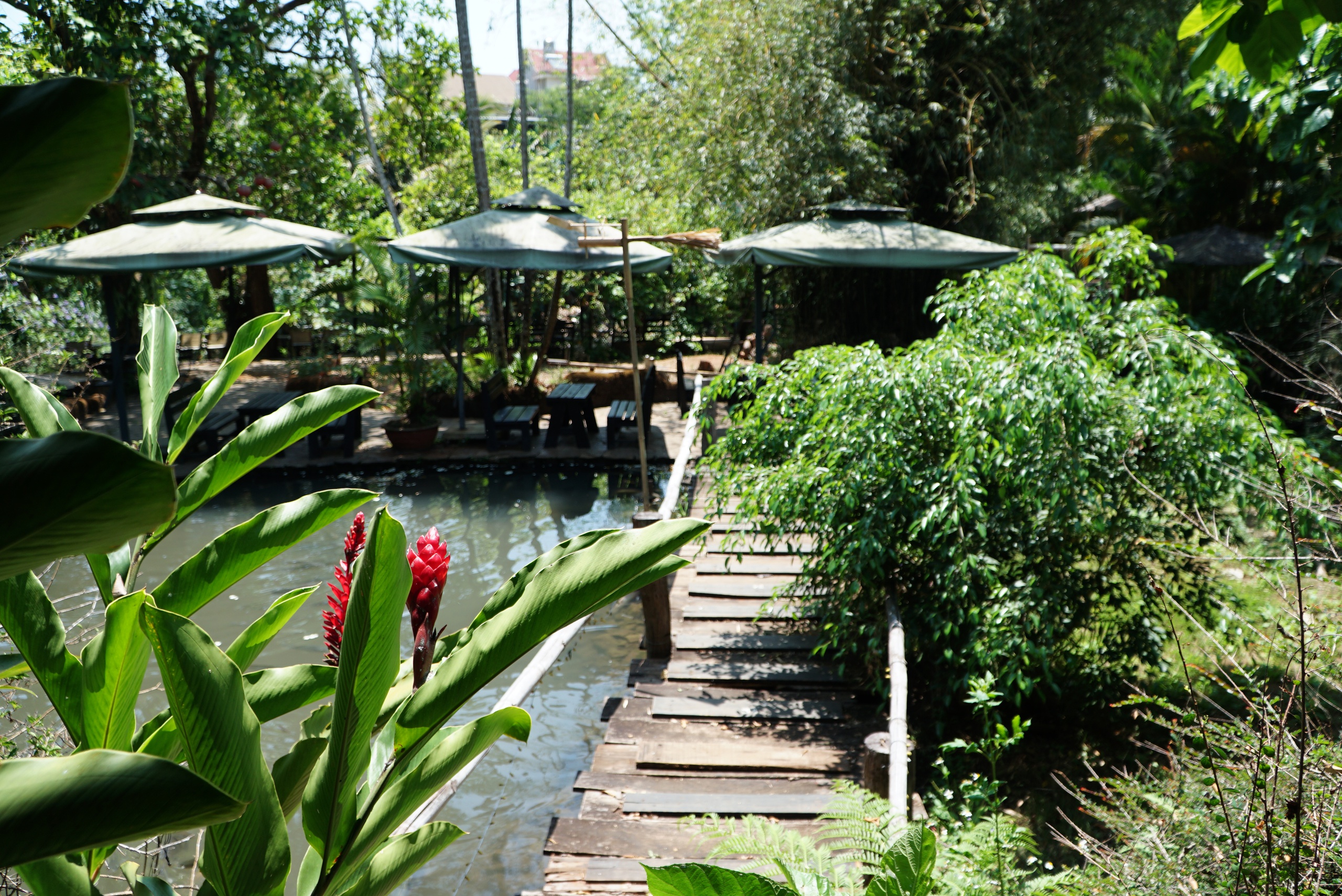 Qu&aacute;n c&agrave; ph&ecirc; từng cho kh&aacute;ch 'đặt b&agrave;i h&aacute;t tỏ t&igrave;nh', một thời rất quen- Ảnh 2.