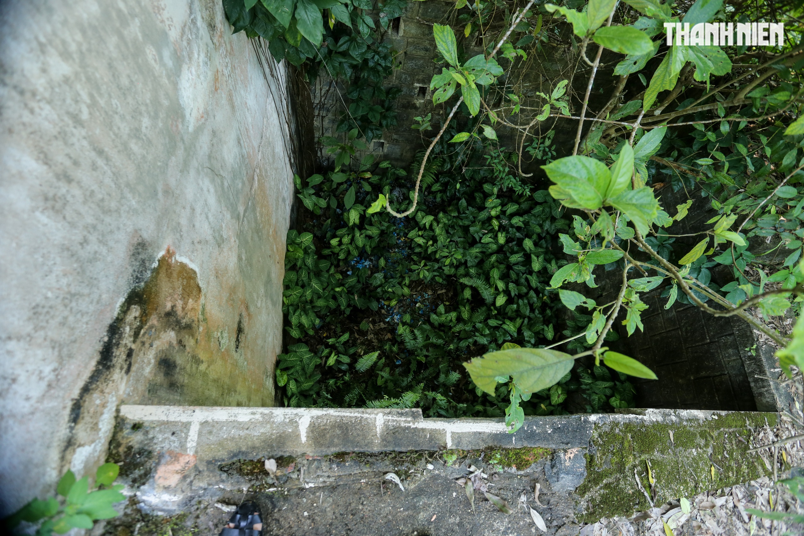 Biệt thự chứng t&iacute;ch của 'l&atilde;nh ch&uacute;a miền Trung' Ng&ocirc; Đ&igrave;nh Cẩn ở Huế đang thế n&agrave;o?- Ảnh 13.