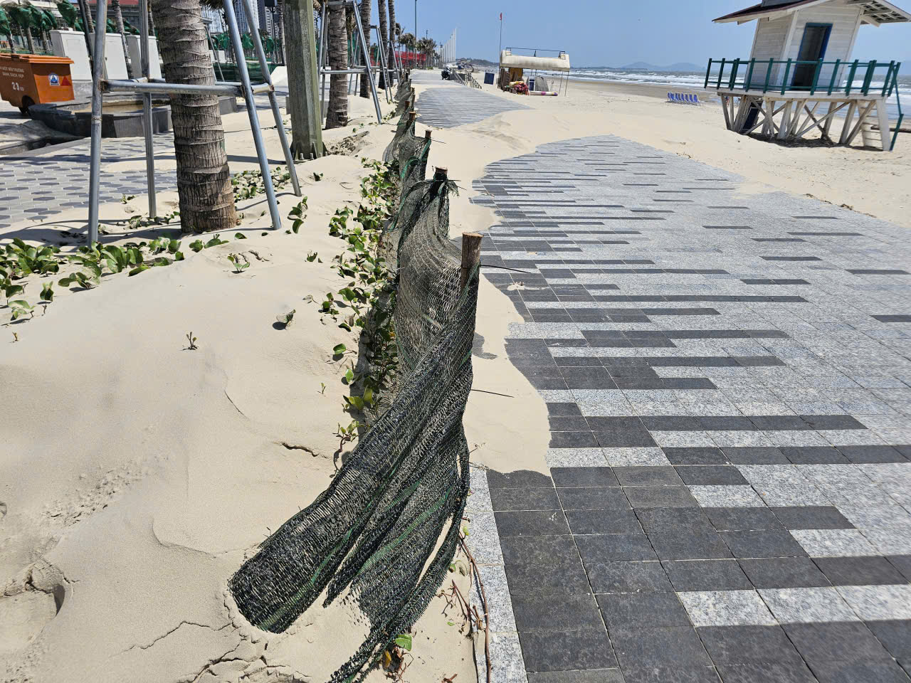 Bãi Sau Vũng Tàu: Dự án ngàn tỉ bị cát vùi, cách nào chặn cát bay?- Ảnh 2.