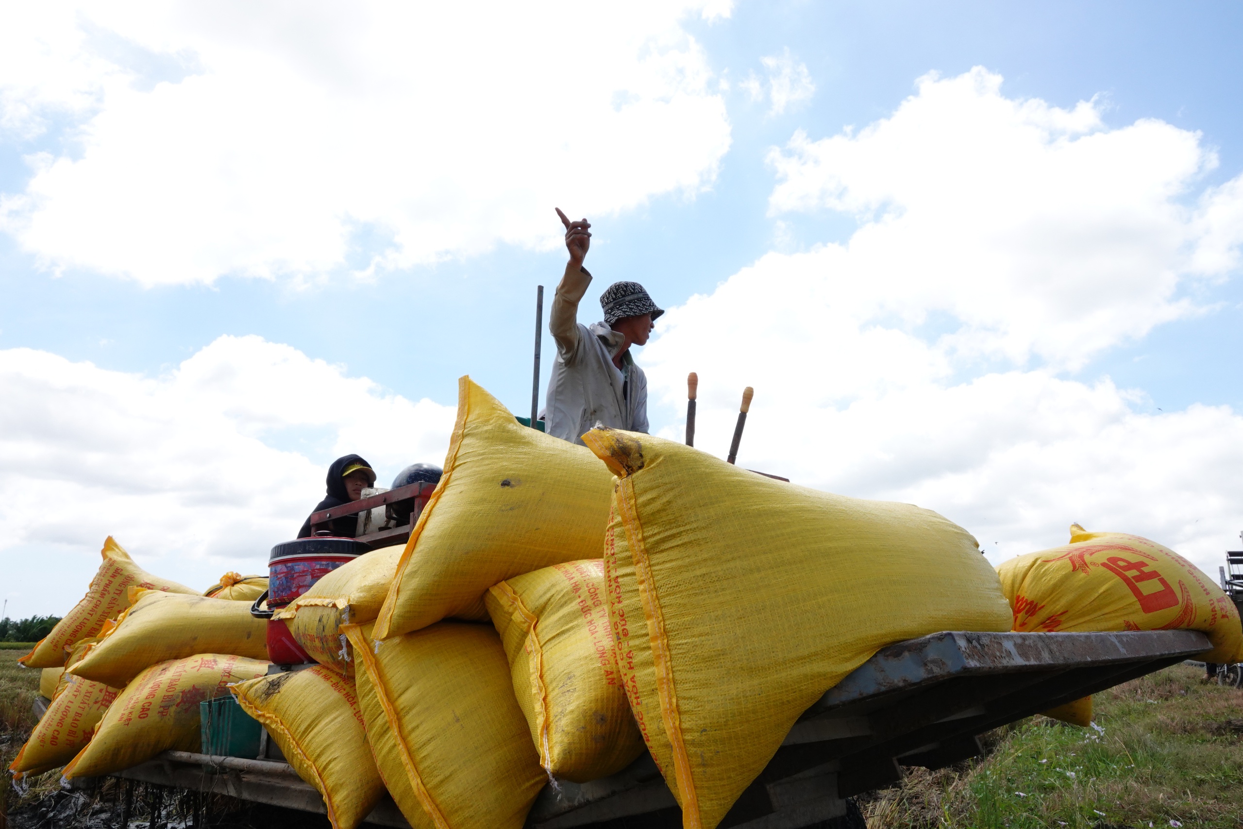 Bất ngờ gạo xuất siêu tăng mạnh nhất
- Ảnh 1.