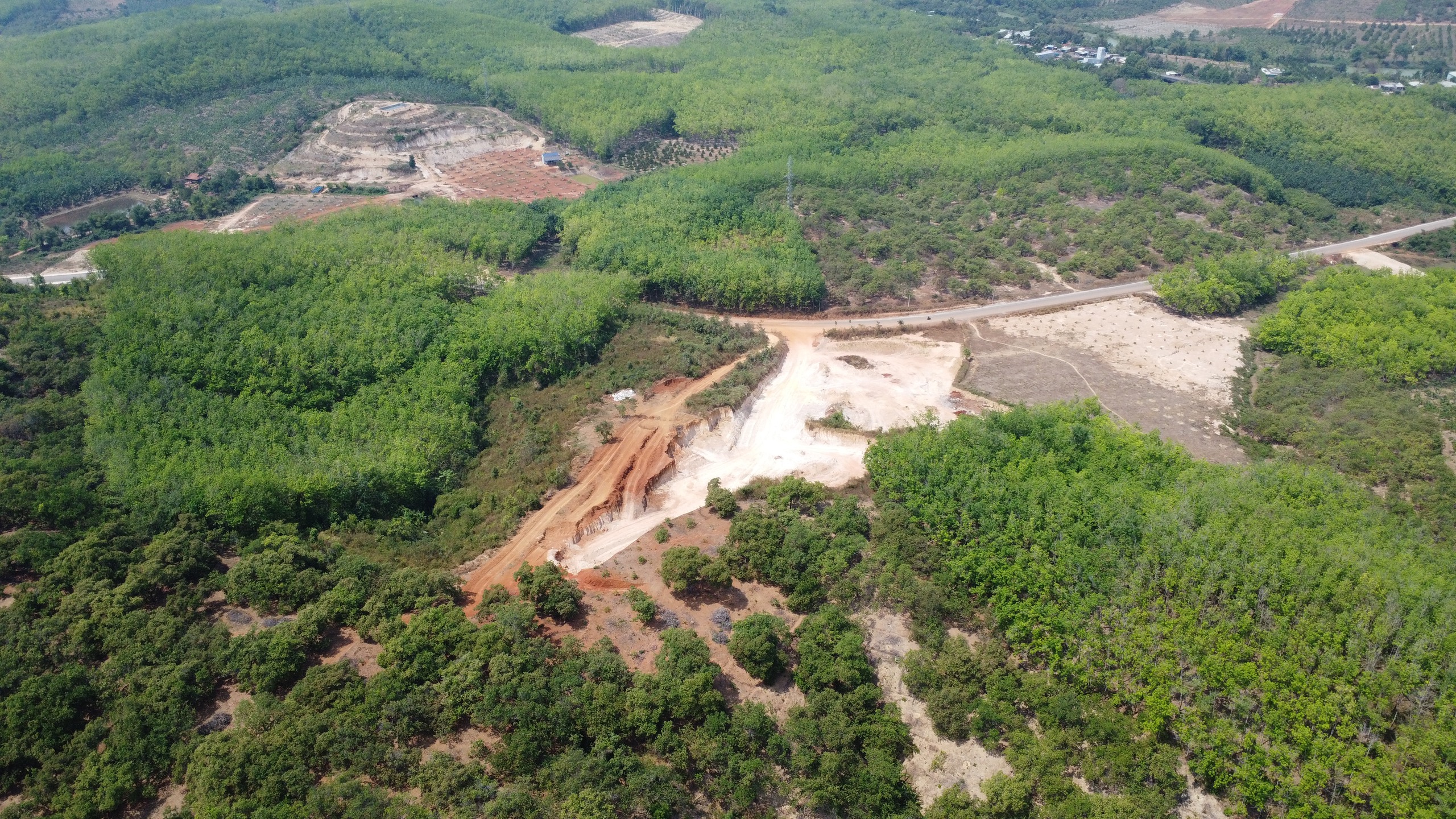 - Ảnh 1. - Ảnh 1.