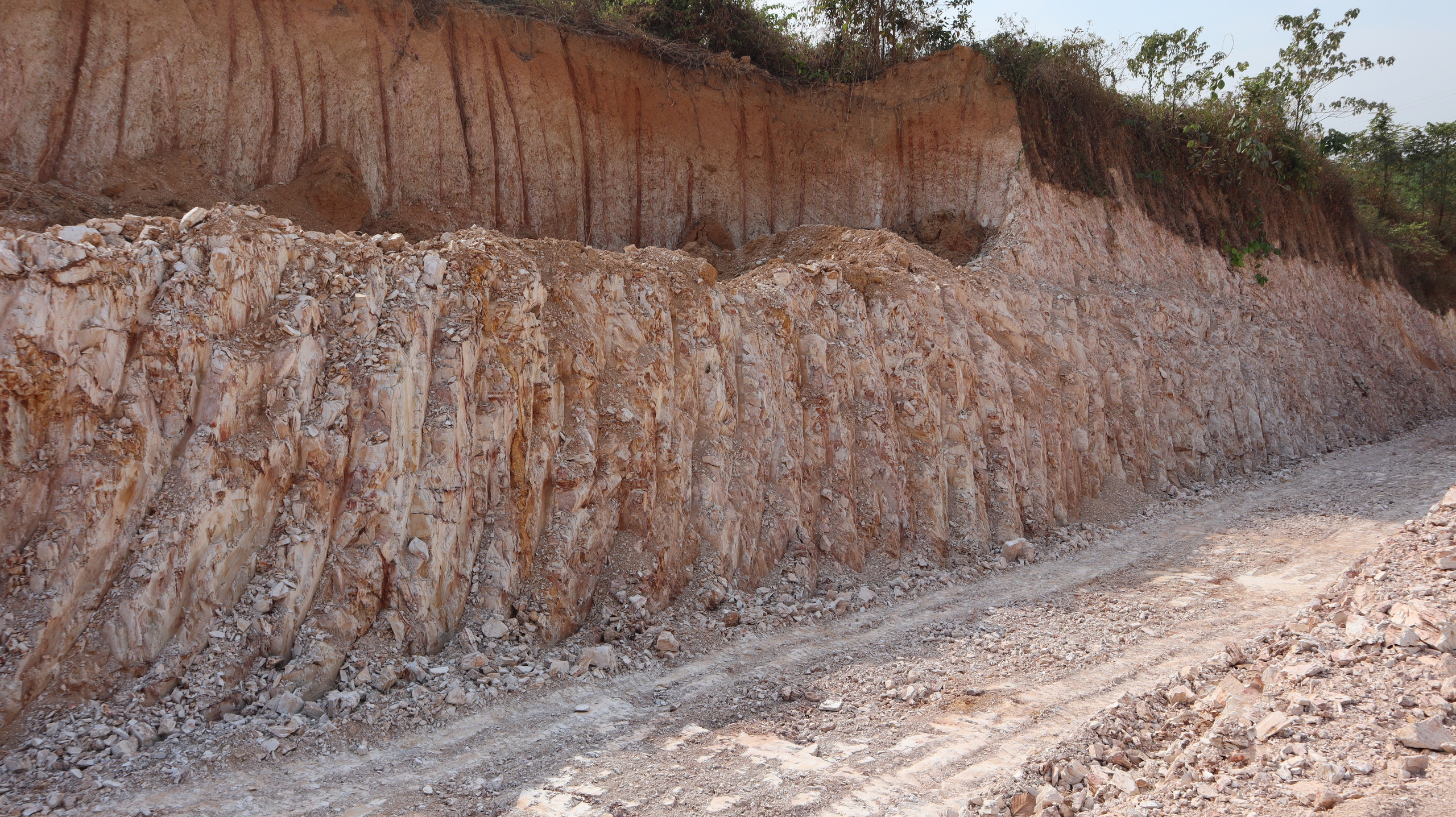 - Ảnh 5. - Ảnh 5.