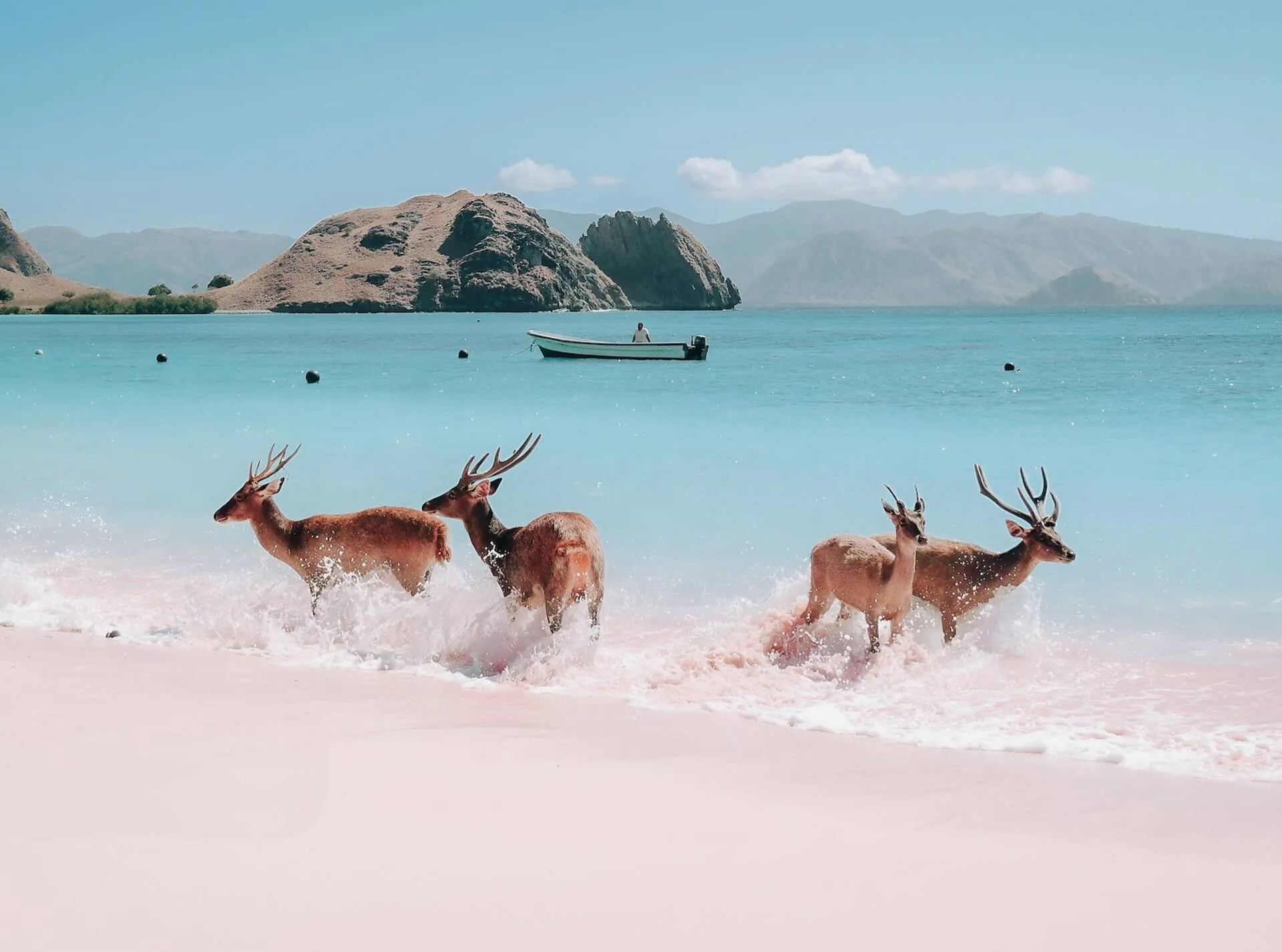 Báo Anh chọn hai điểm đến ở Việt Nam vào top đẹp nhất thế giới- Ảnh 2. Báo Anh chọn hai điểm đến ở Việt Nam vào top đẹp nhất thế giới- Ảnh 2.