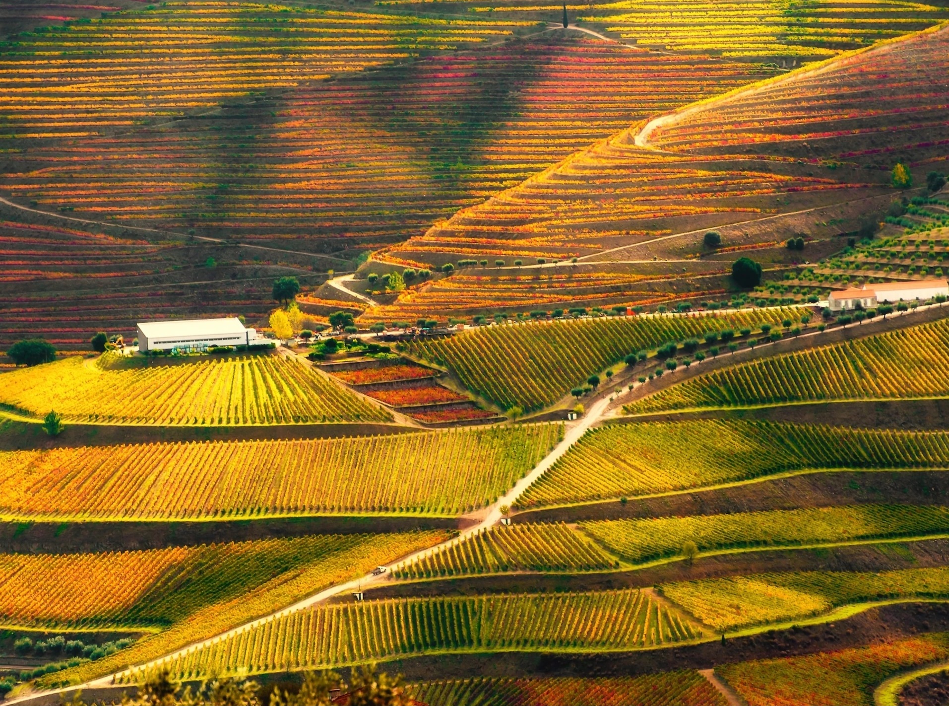 Báo Anh chọn hai điểm đến ở Việt Nam vào top đẹp nhất thế giới- Ảnh 3. Báo Anh chọn hai điểm đến ở Việt Nam vào top đẹp nhất thế giới- Ảnh 3.