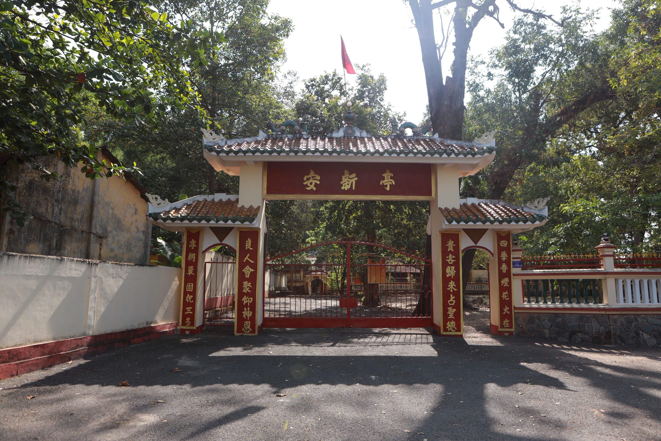 Cây đa trăm tuổi ôm cổng đình Tân An , chứng nhân lịch sử TP . HCM - Ảnh 2. Cây đa trăm tuổi ôm cổng đình Tân An , chứng nhân lịch sử TP . HCM - Ảnh 2.