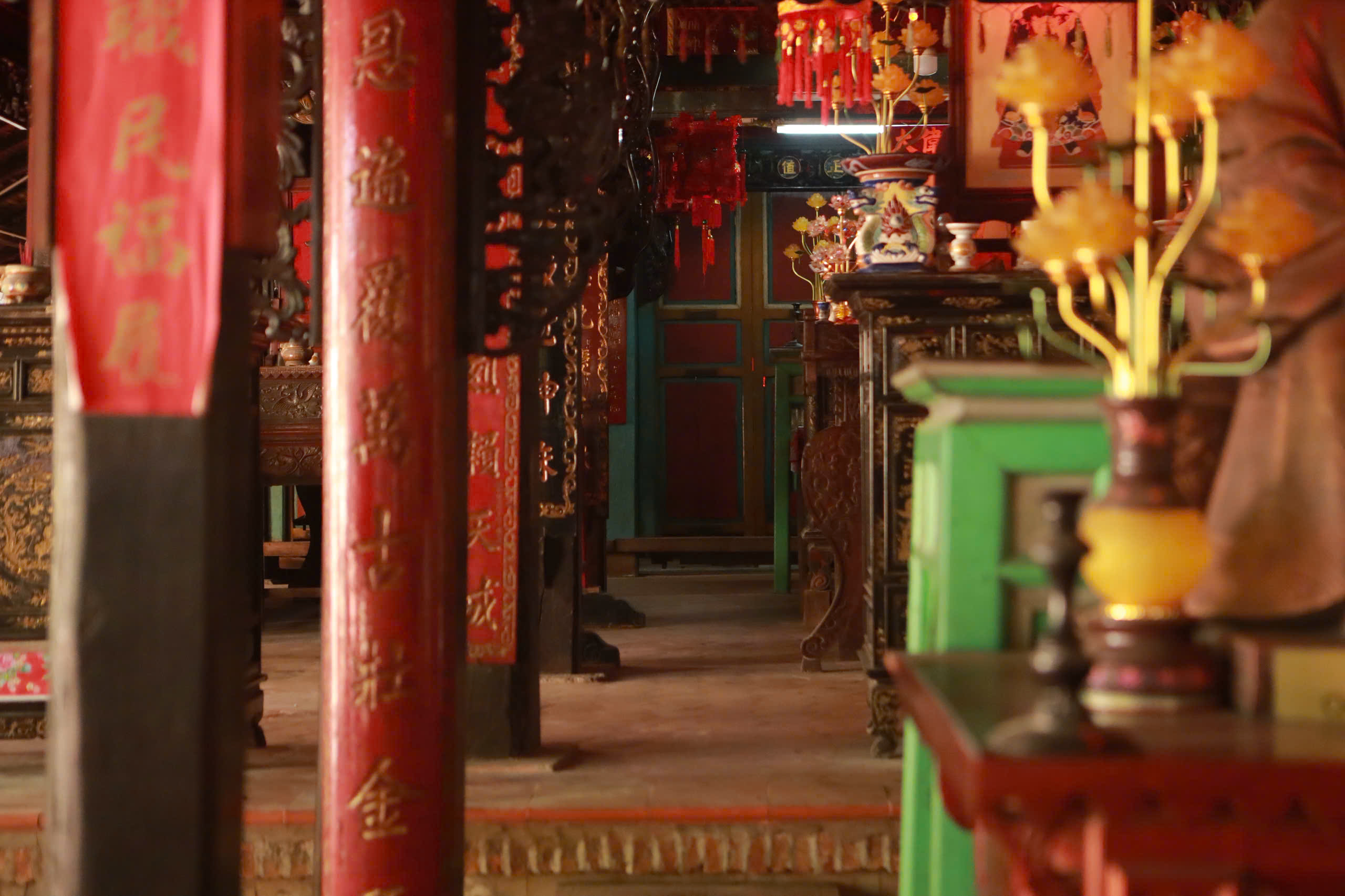 Cây đa trăm tuổi ôm cổng đình Tân An , chứng nhân lịch sử TP . HCM - Ảnh 10. Cây đa trăm tuổi ôm cổng đình Tân An , chứng nhân lịch sử TP . HCM - Ảnh 10.