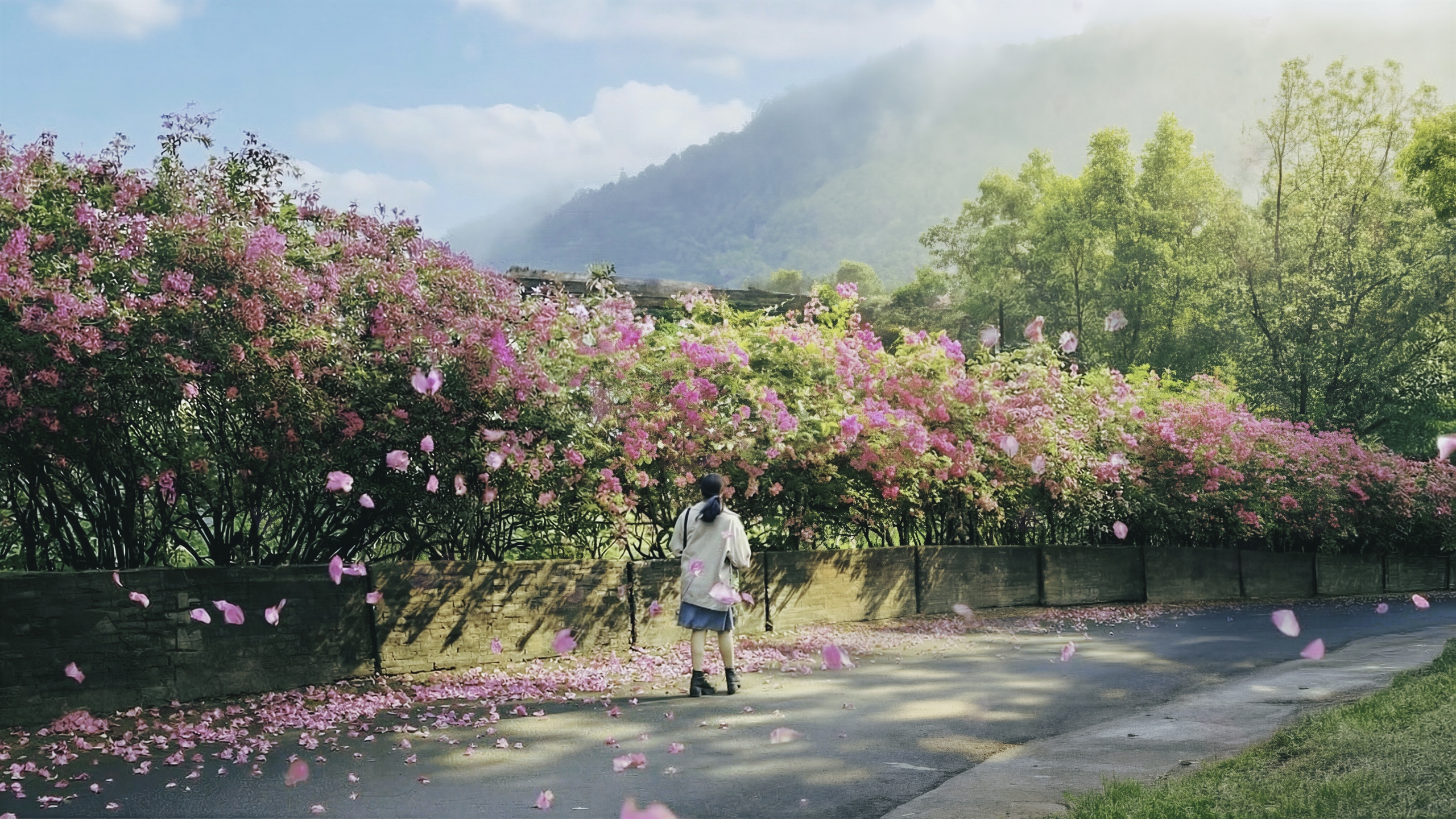 Hoa giấy nở rộ ở TP.HCM: 3 con đường l&ecirc;n h&igrave;nh cực đẹp - Ảnh 1.