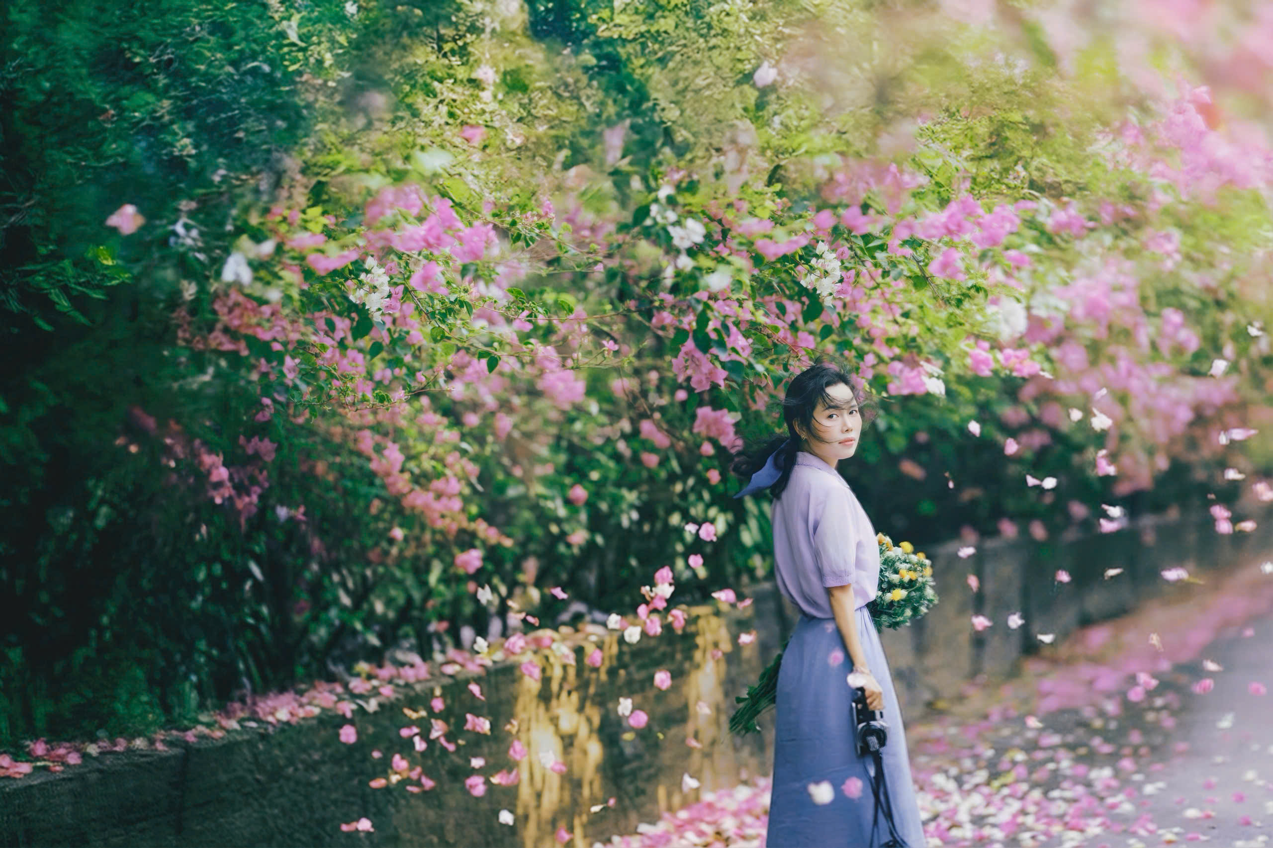 Hoa giấy nở rộ ở TP.HCM: 3 con đường l&ecirc;n h&igrave;nh cực đẹp - Ảnh 2.