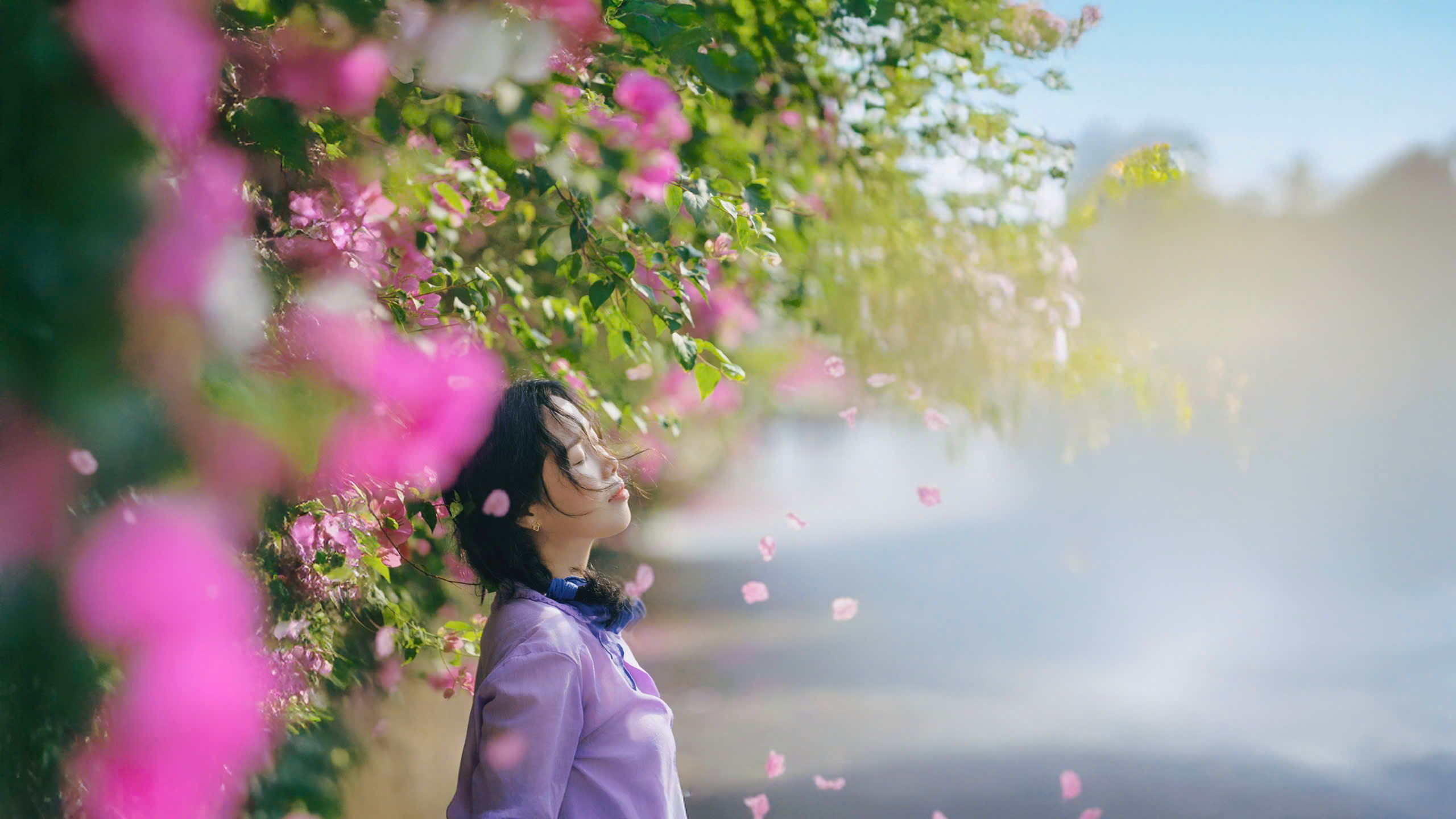 Hoa giấy nở rộ ở TP.HCM: 3 con đường l&ecirc;n h&igrave;nh cực đẹp - Ảnh 3.