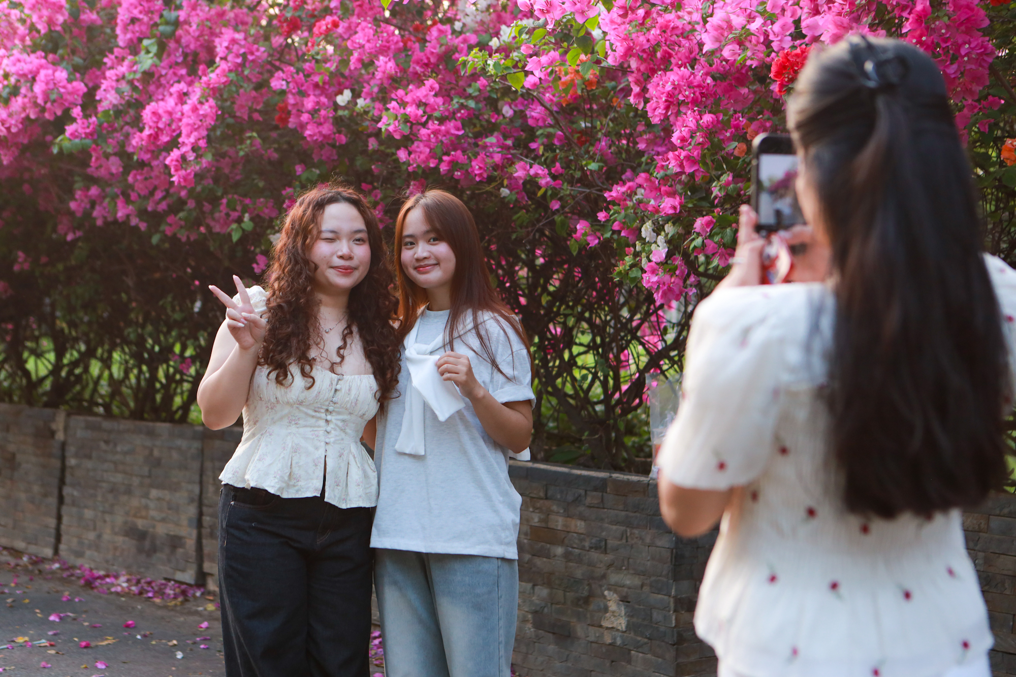 Hoa giấy nở rộ ở TP.HCM: 3 con đường l&ecirc;n h&igrave;nh cực đẹp - Ảnh 5.