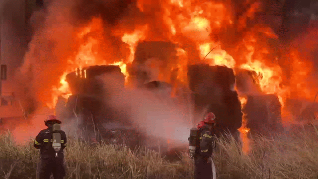 Ch&aacute;y b&atilde;i phế liệu ni l&ocirc;ng, cột kh&oacute;i đen phủ k&iacute;n khu d&acirc;n cư ở TP.HCM- Ảnh 1.