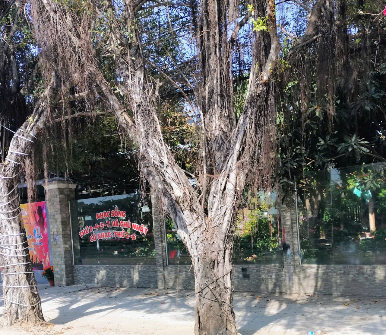 Vụ mua bán giấy tay đất công ở TP.HCM: Người mua kiện ra tòa- Ảnh 5.