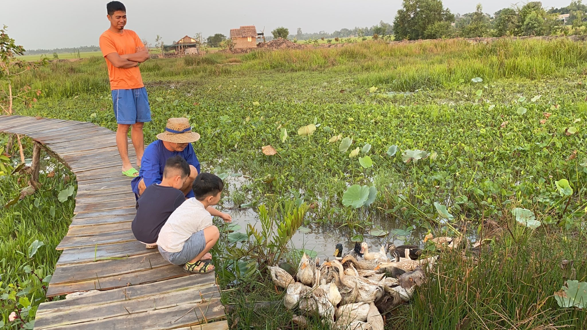 C&ocirc; g&aacute;i 'biến' đất qu&ecirc; miền T&acirc;y th&agrave;nh n&ocirc;ng trại nghỉ dưỡng thuận thi&ecirc;n - Ảnh 3.