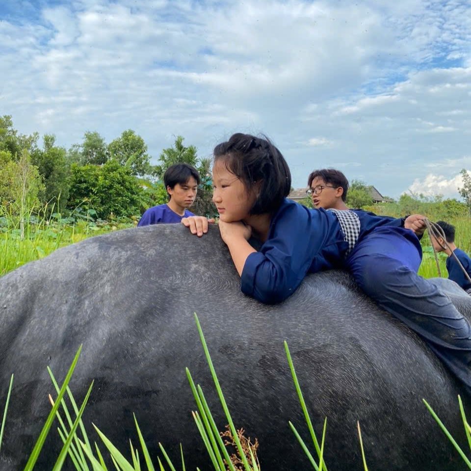 C&ocirc; g&aacute;i 'biến' đất qu&ecirc; miền T&acirc;y th&agrave;nh n&ocirc;ng trại nghỉ dưỡng thuận thi&ecirc;n - Ảnh 5.