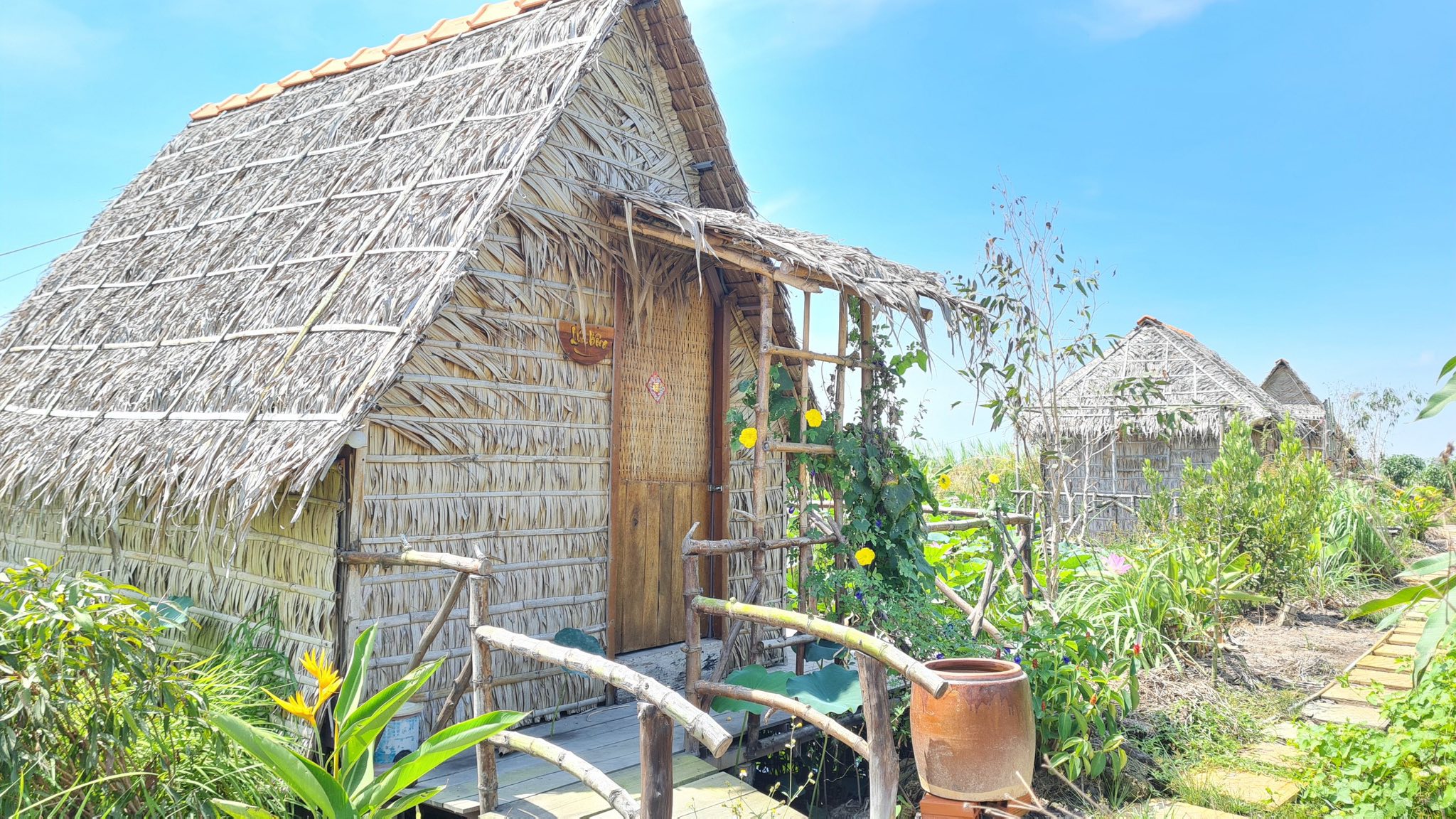 C&ocirc; g&aacute;i 'biến' đất qu&ecirc; miền T&acirc;y th&agrave;nh n&ocirc;ng trại nghỉ dưỡng thuận thi&ecirc;n - Ảnh 7.