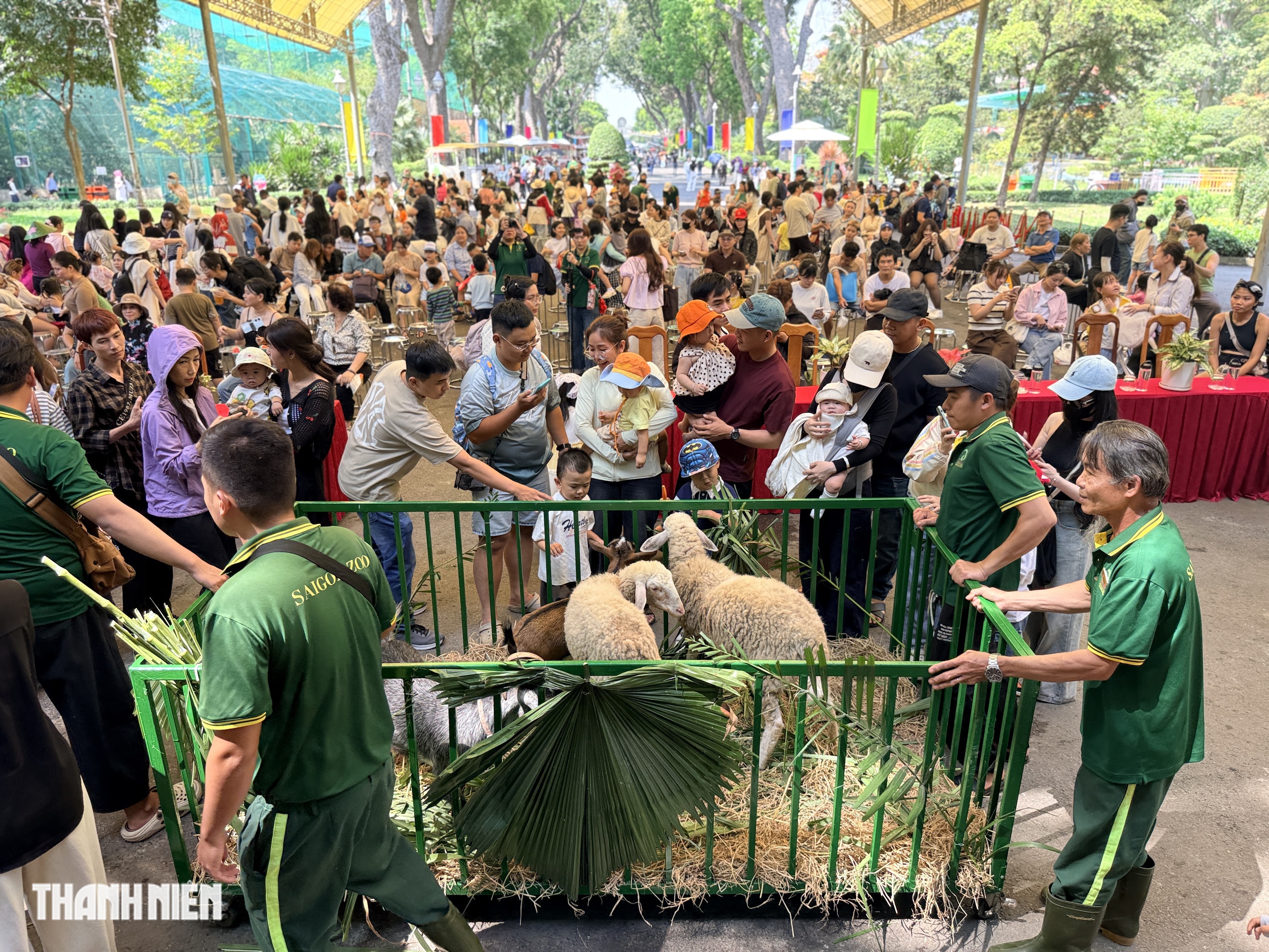 Du kh&aacute;ch nh&iacute; h&agrave;o hứng xem 'idol Zoobiz' diễu h&agrave;nh 162 năm Thảo Cầm Vi&ecirc;n S&agrave;i G&ograve;n - Ảnh 1.