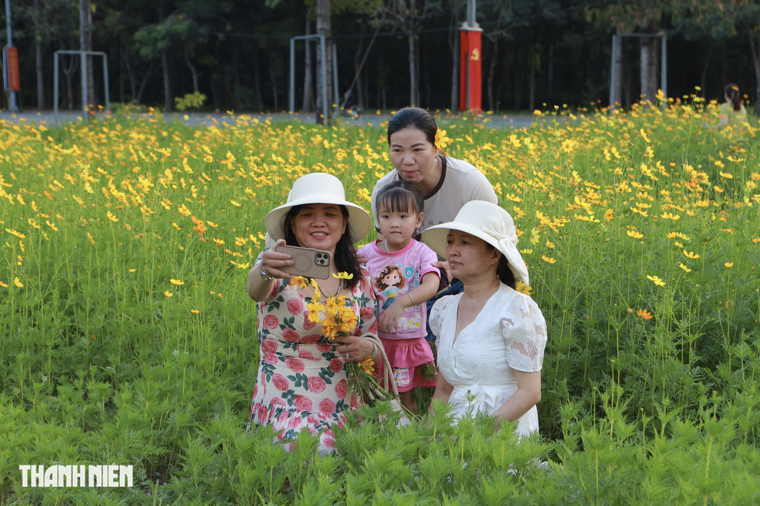 Hoa sao nh&aacute;i v&agrave;ng rực ở TP.HCM: C&oacute; g&igrave; khiến giới trẻ đổ x&ocirc; đi check-in? - Ảnh 9.