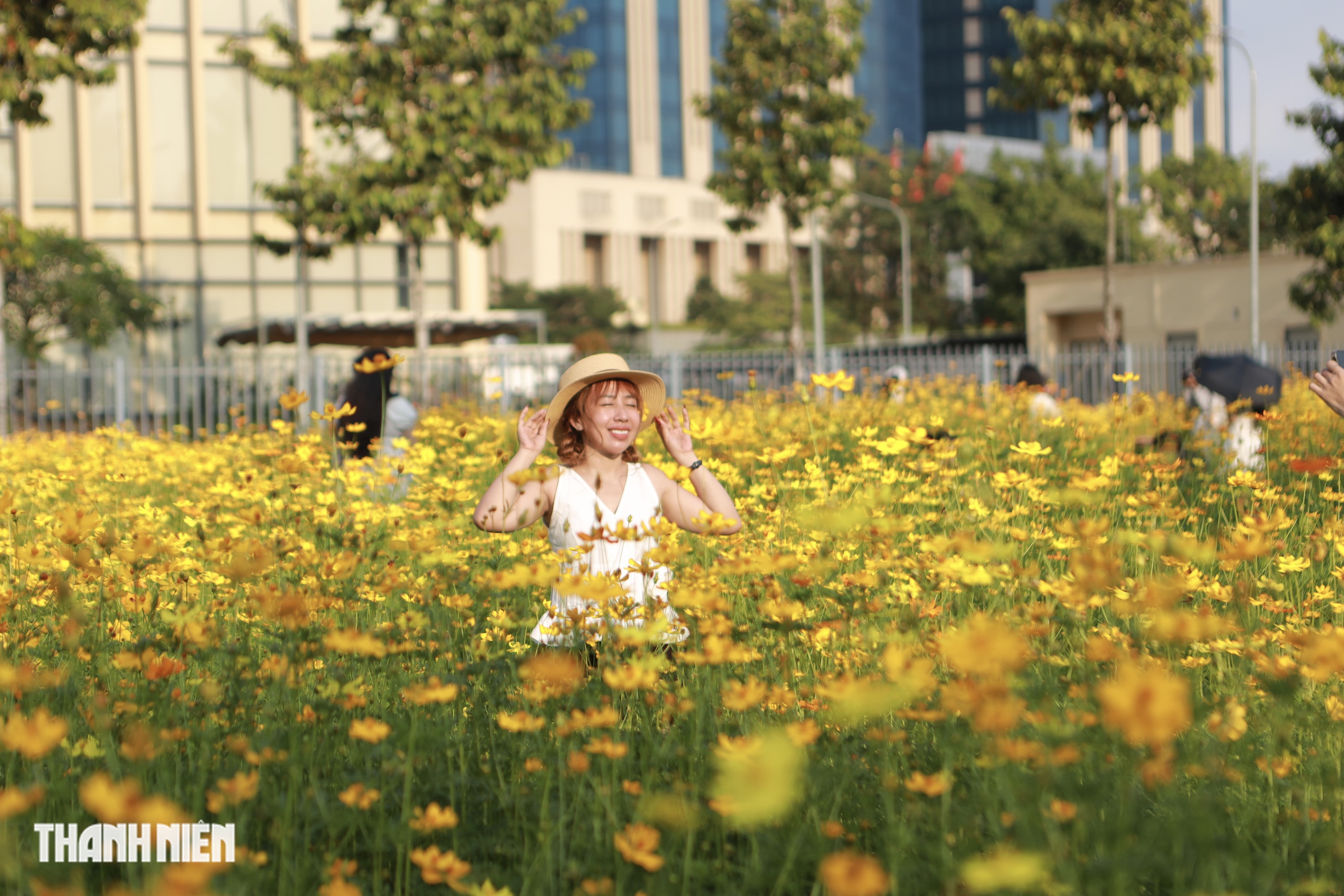 Hoa sao nh&aacute;i v&agrave;ng rực ở TP.HCM: C&oacute; g&igrave; khiến giới trẻ đổ x&ocirc; đi check-in? - Ảnh 2.