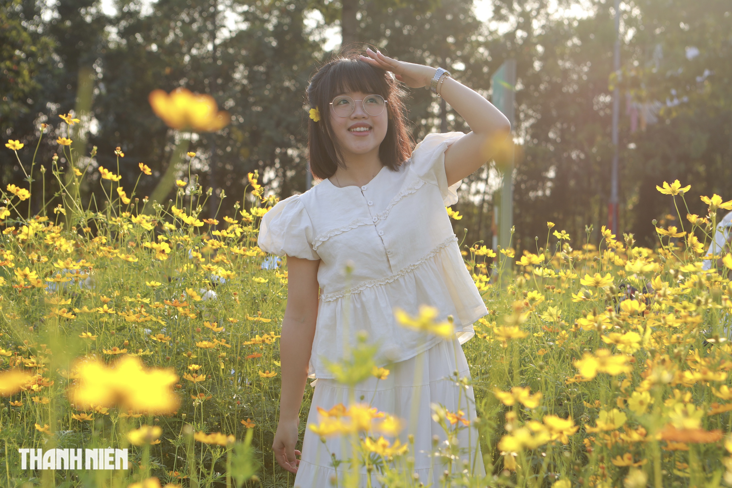 Hoa sao nh&aacute;i v&agrave;ng rực ở TP.HCM: C&oacute; g&igrave; khiến giới trẻ đổ x&ocirc; đi check-in? - Ảnh 6.