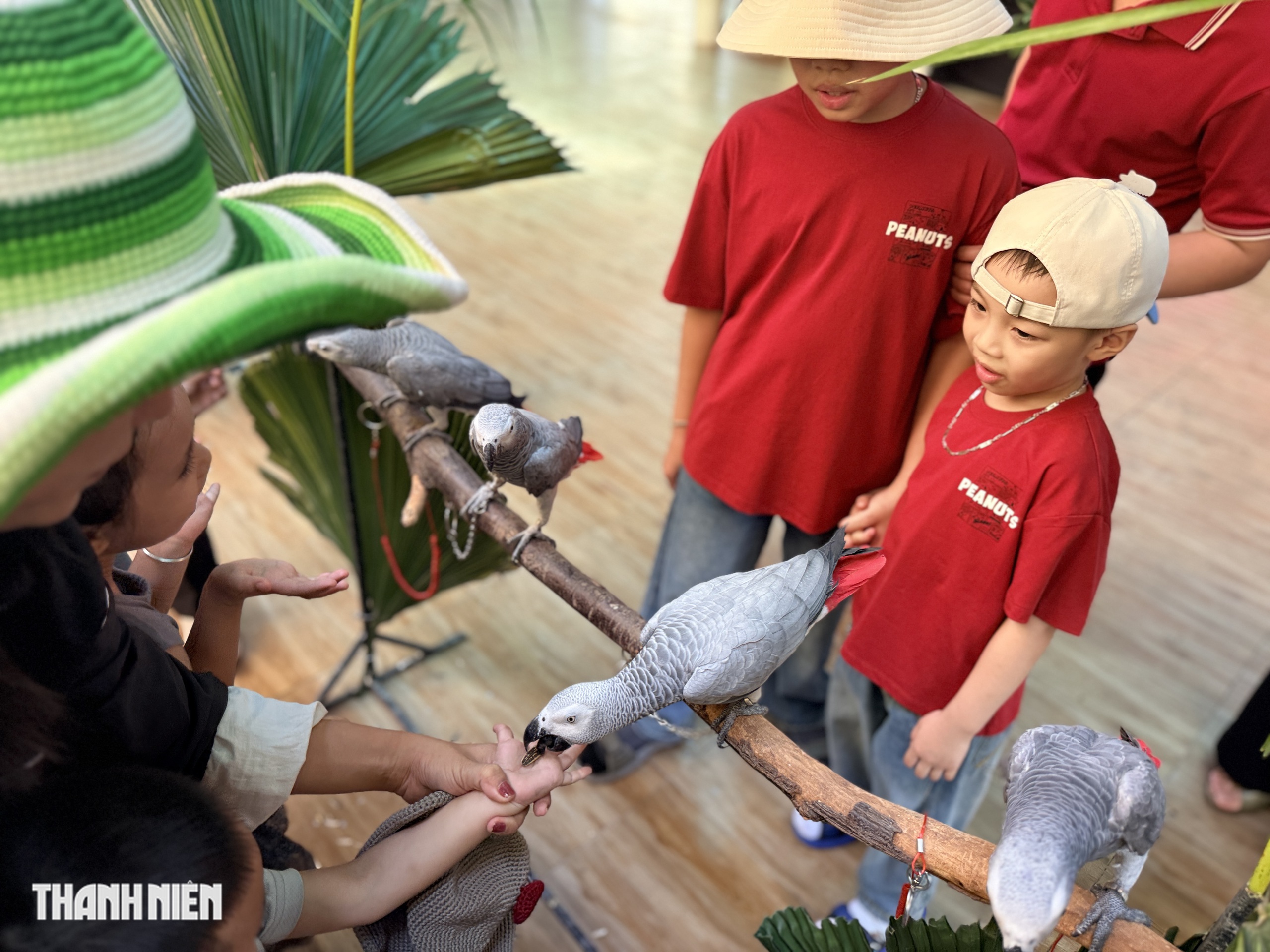 Du kh&aacute;ch nh&iacute; h&agrave;o hứng xem 'idol Zoobiz' diễu h&agrave;nh 162 năm Thảo Cầm Vi&ecirc;n S&agrave;i G&ograve;n - Ảnh 2.