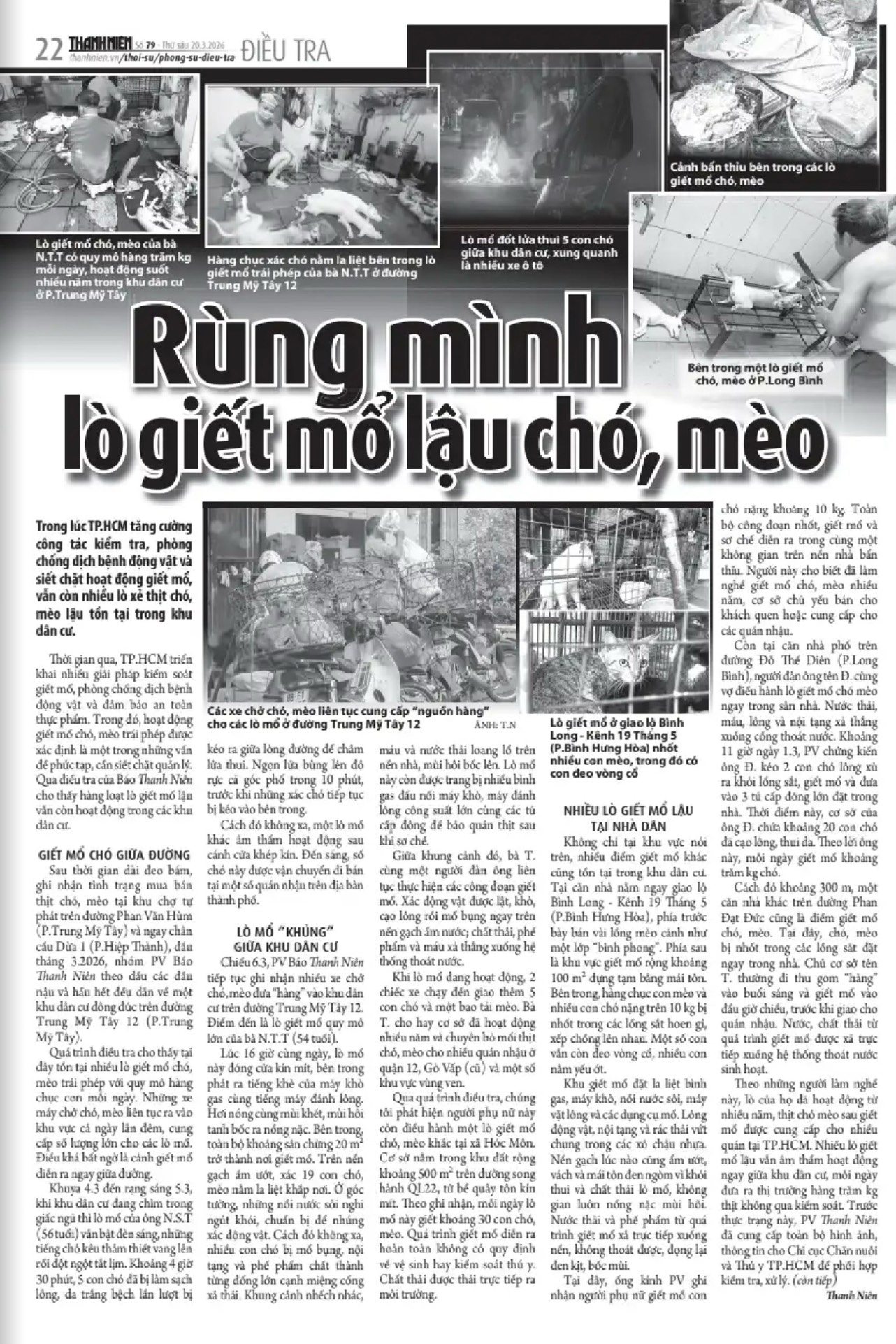 D&acirc;n mạng k&ecirc;u gọi hạn chế giết mổ ch&oacute; m&egrave;o v&igrave; l&ograve;ng nh&acirc;n &aacute;i với động vật - Ảnh 1.