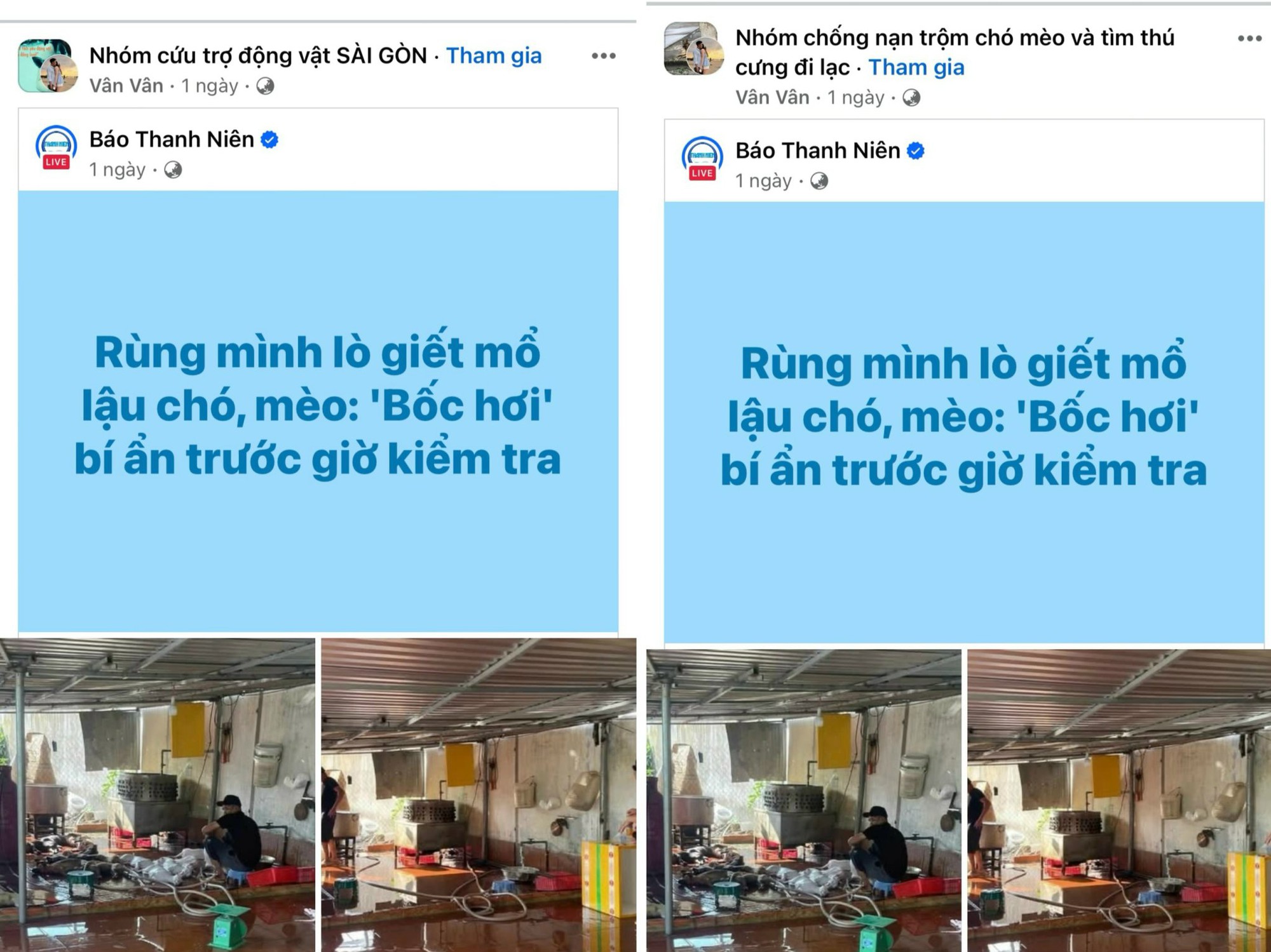 D&acirc;n mạng k&ecirc;u gọi hạn chế giết mổ ch&oacute; m&egrave;o v&igrave; l&ograve;ng nh&acirc;n &aacute;i với động vật - Ảnh 2.