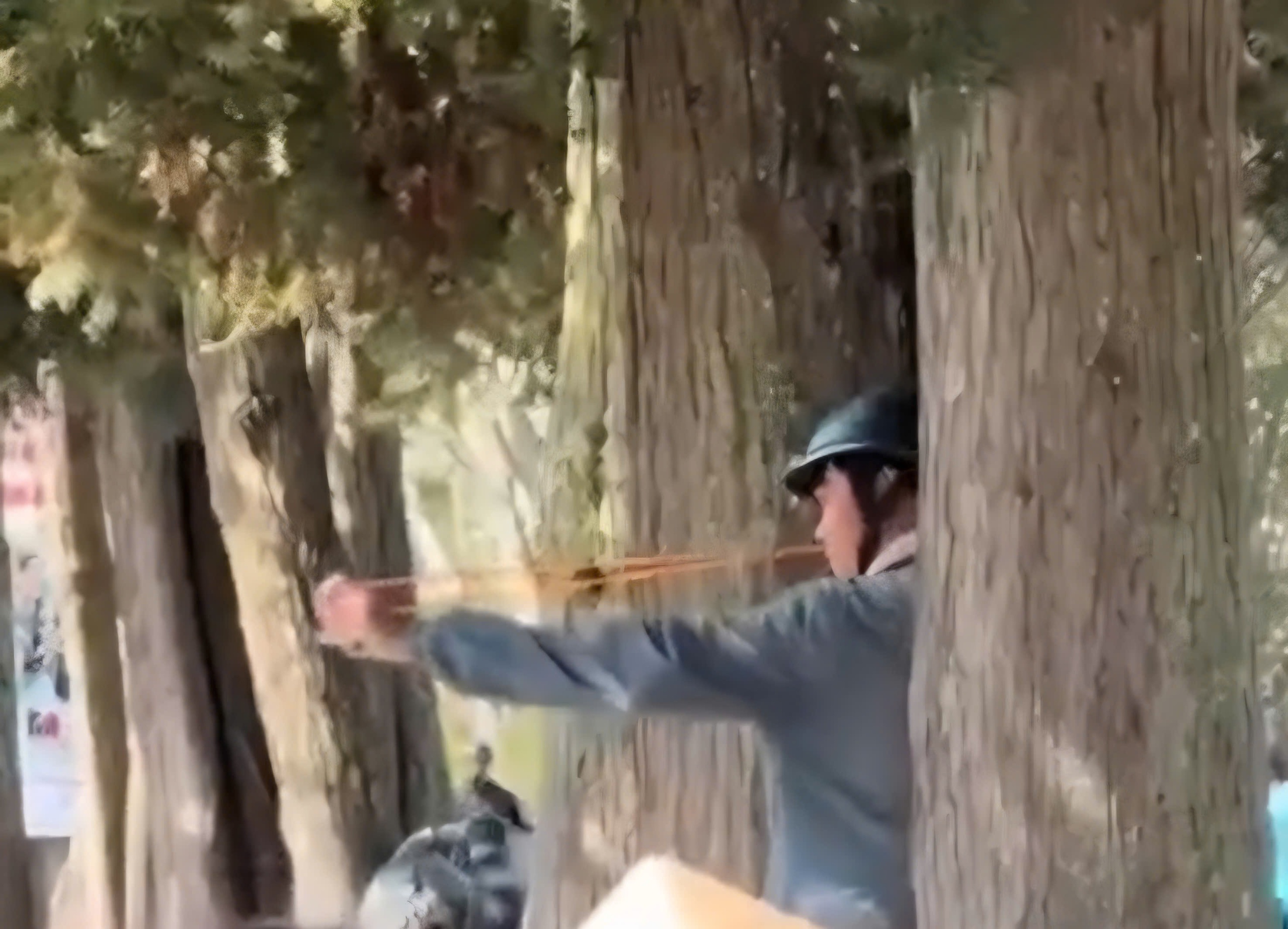 Truy tìm người bắn chim giữa phố Đà Lạt, hành hung phóng viên khi được nhắc nhở - Ảnh 1.