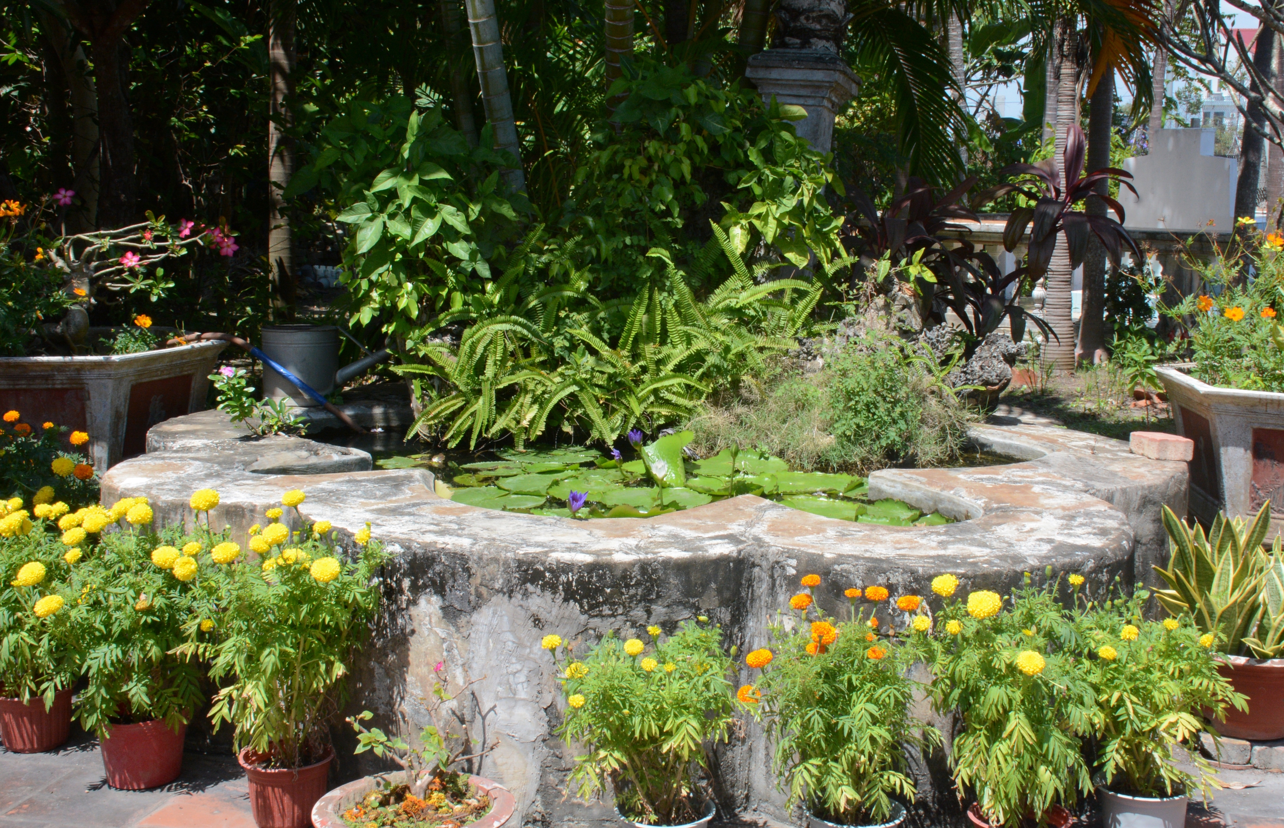 Nh&agrave; cổ họ Nguyễn Ho&agrave;ng ở Long Điền: Di sản 130 năm chưa từng tr&ugrave;ng tu - Ảnh 2.