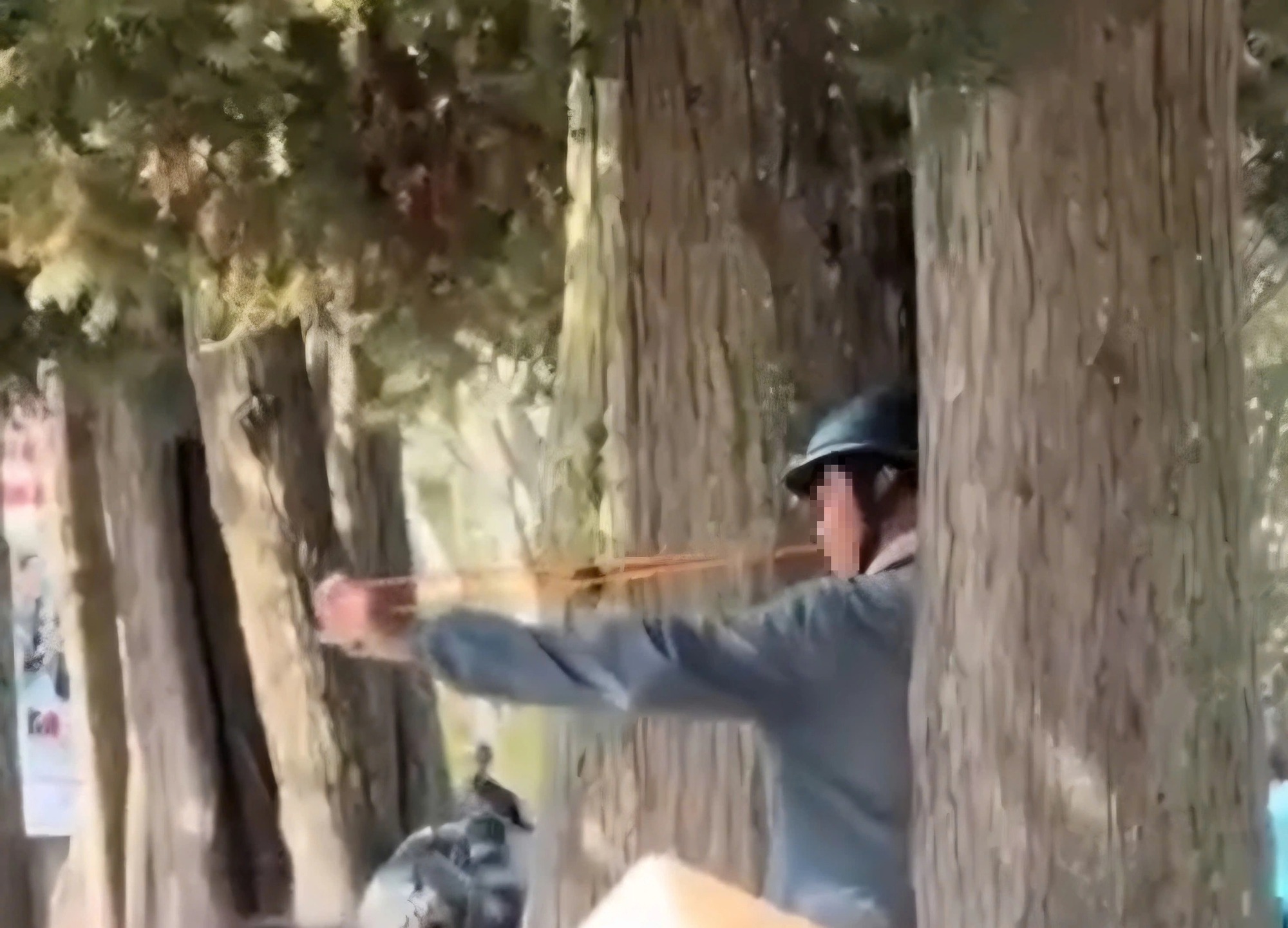 Xác định danh tính người bắn động vật và hành hung phóng viên tại Đà Lạt- Ảnh 3. Xác định danh tính người bắn động vật và hành hung phóng viên tại Đà Lạt- Ảnh 3.