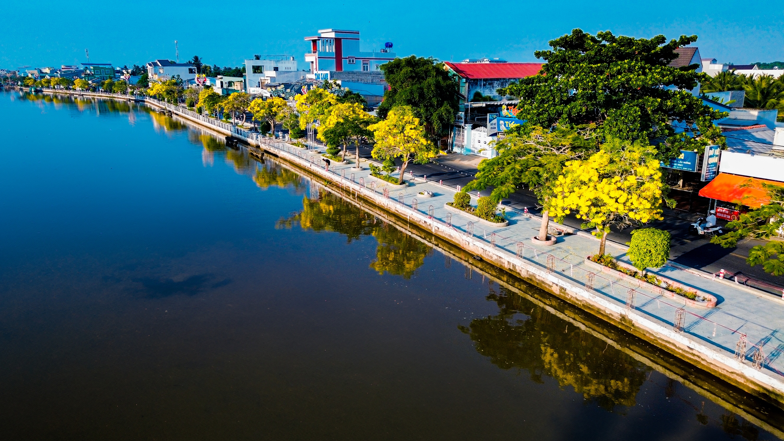 Đường hoa k&egrave;n v&agrave;ng rực rỡ b&ecirc;n d&ograve;ng Long B&igrave;nh thu h&uacute;t bạn trẻ check in - Ảnh 9.