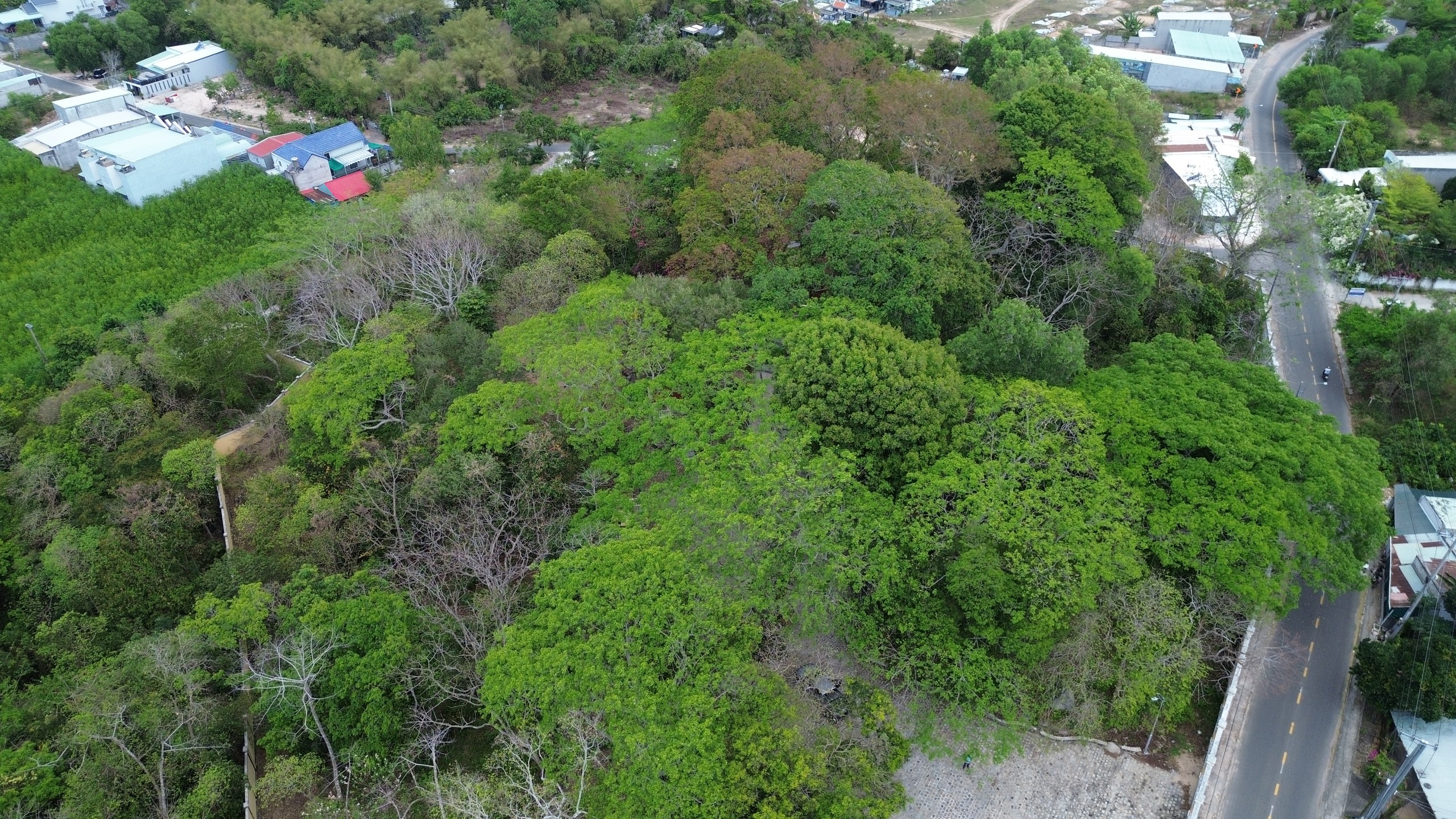 Long Điền xưa: Dấu ch&acirc;n in tr&ecirc;n n&uacute;i Ch&acirc;n Ti&ecirc;n c&oacute; từ bao giờ? - Ảnh 7.