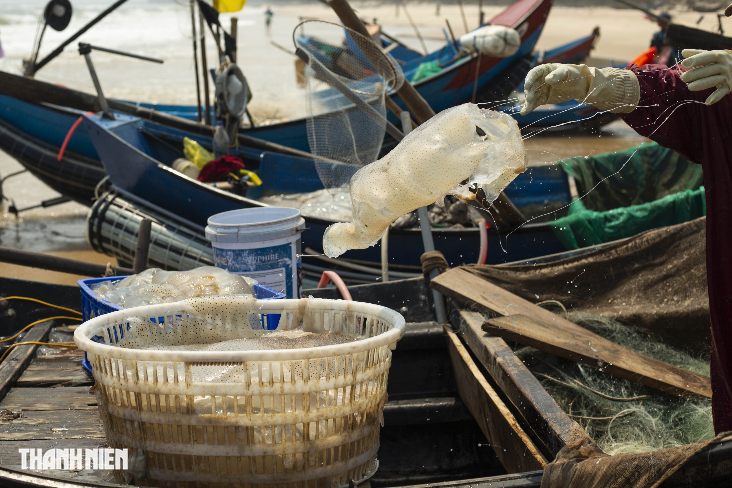 Tr&uacute;ng m&ugrave;a sứa 'lịch sử': Thuyền đầy ắp, ngư d&acirc;n kiếm tiền triệu mỗi ng&agrave;y - Ảnh 8.