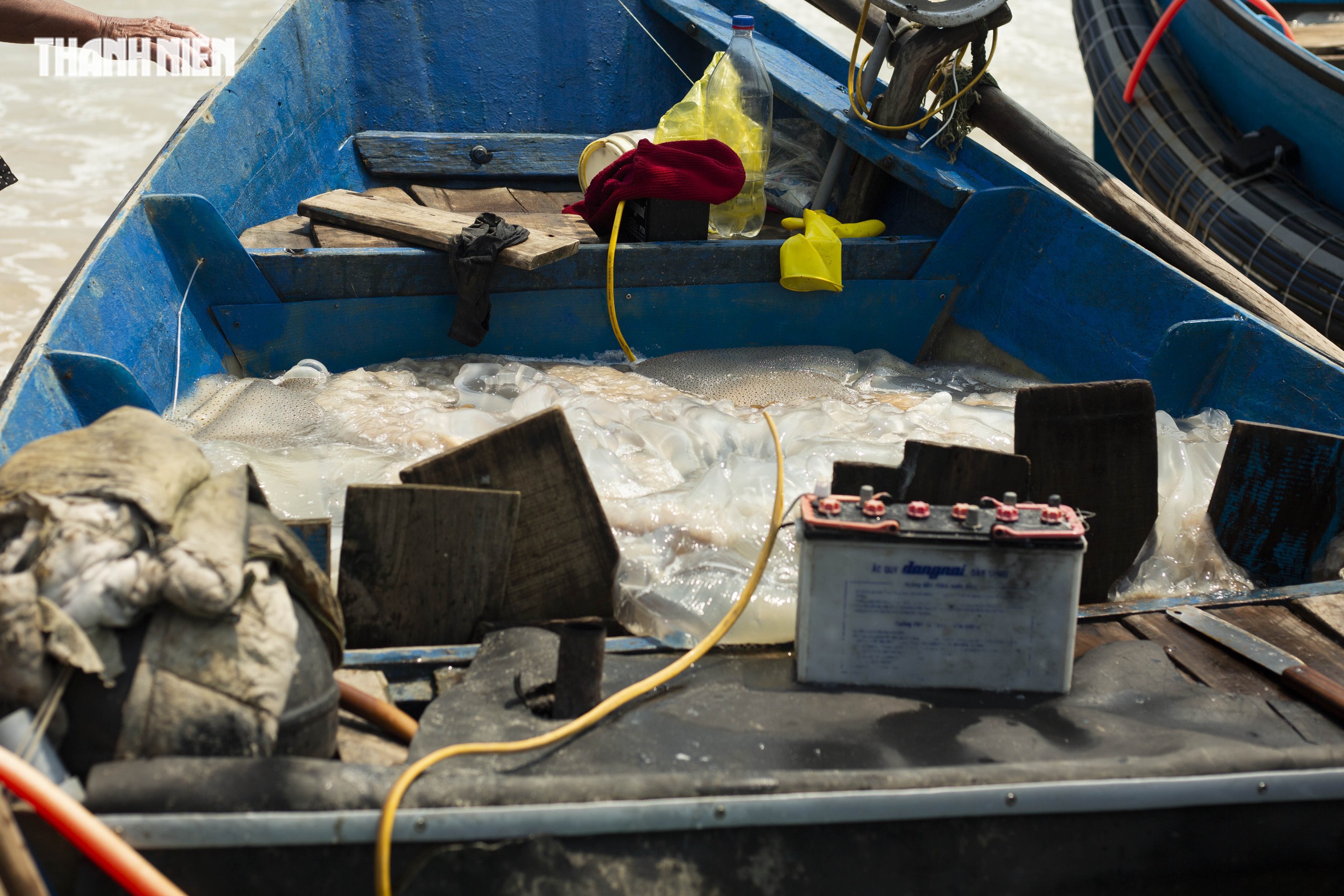 Tr&uacute;ng m&ugrave;a sứa 'lịch sử': Thuyền đầy ắp, ngư d&acirc;n kiếm tiền triệu mỗi ng&agrave;y - Ảnh 6.